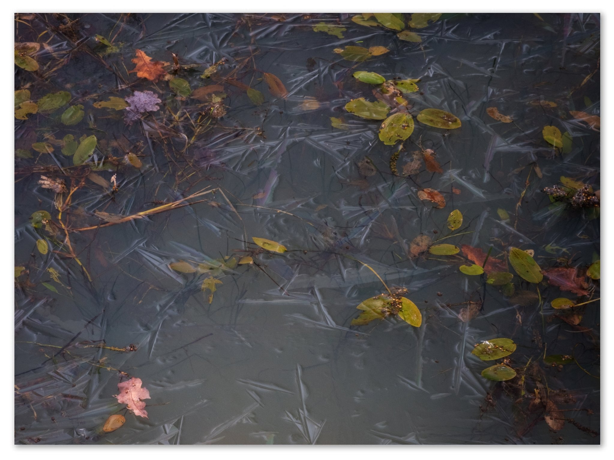 DSCF7386-01.jpg