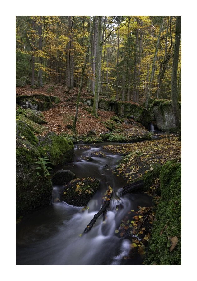 DSCF7251.jpg
