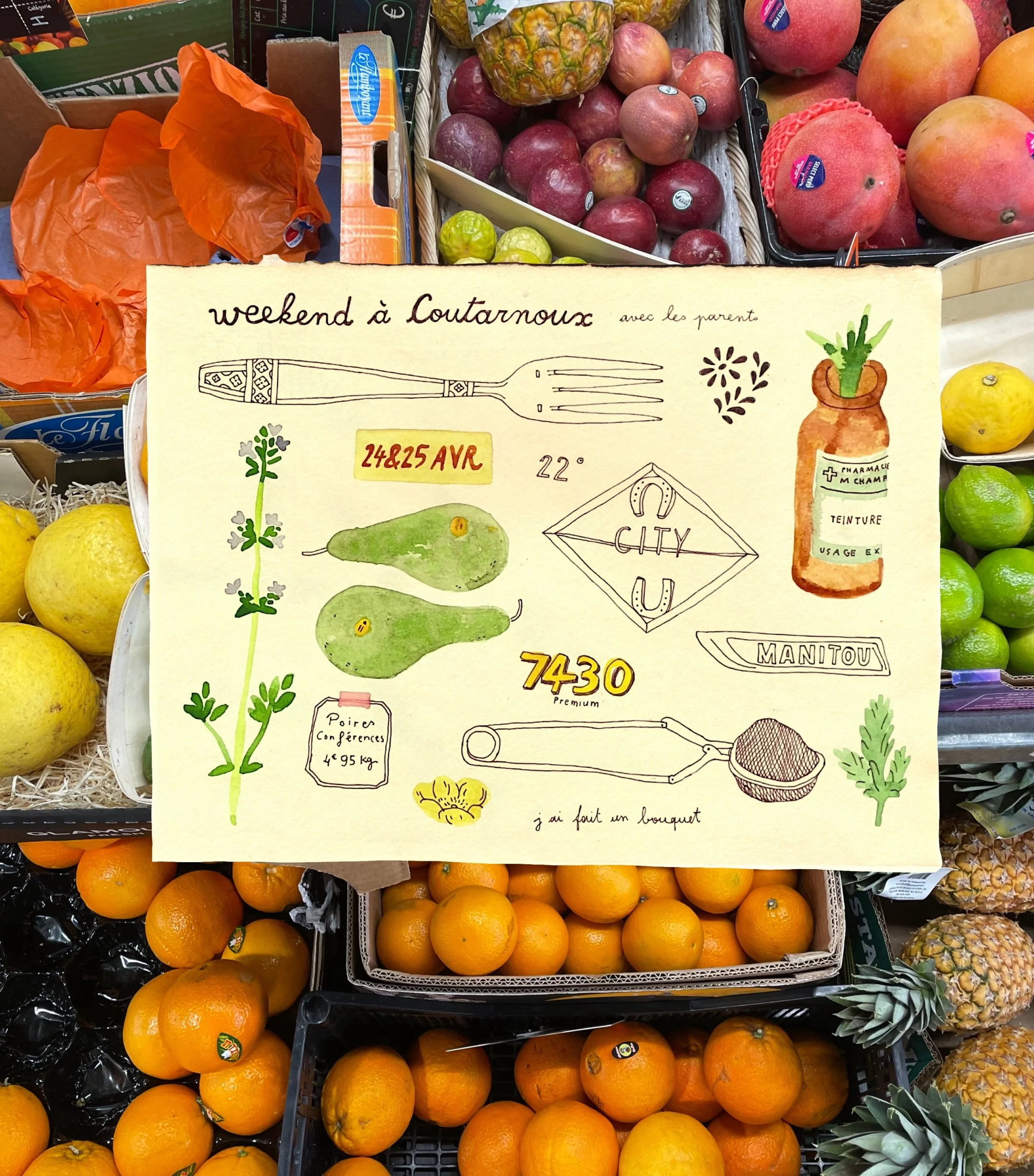 Un weekend en Bourgogne dans mon carnet : des fruits, des tracteurs, de la vaisselle chin&eacute;e et les plantes du jardin 🍐☕️🚜🍊

&Ccedil;a vous dirait que je transforme ces dessins en planches de stickers ?
