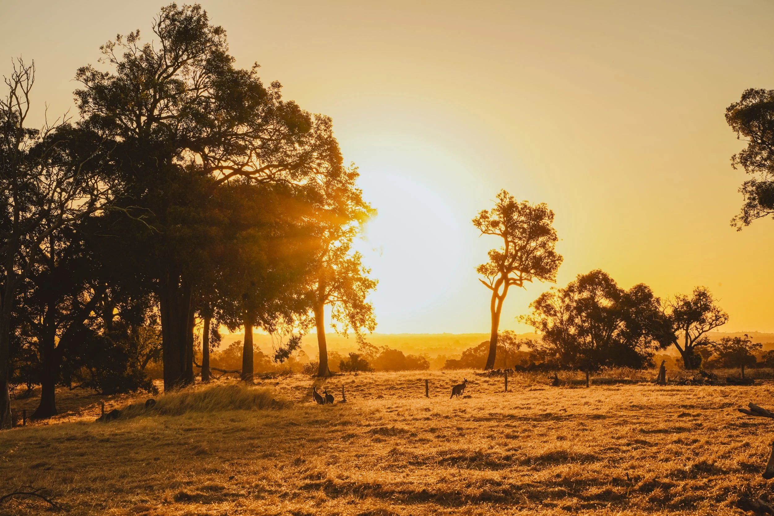 HIDDEN CABINS-87.jpg