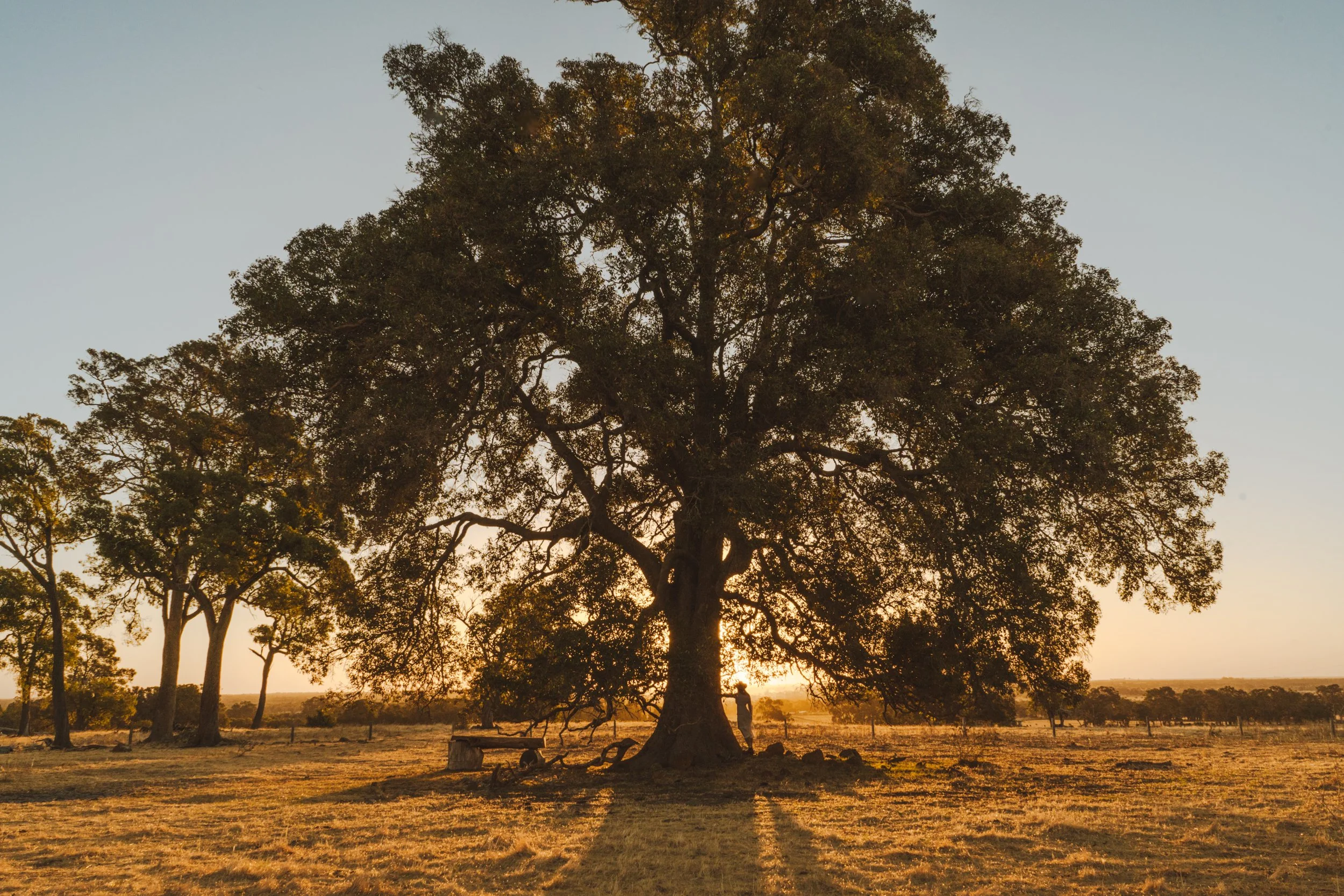 HIDDEN CABINS-94.jpg