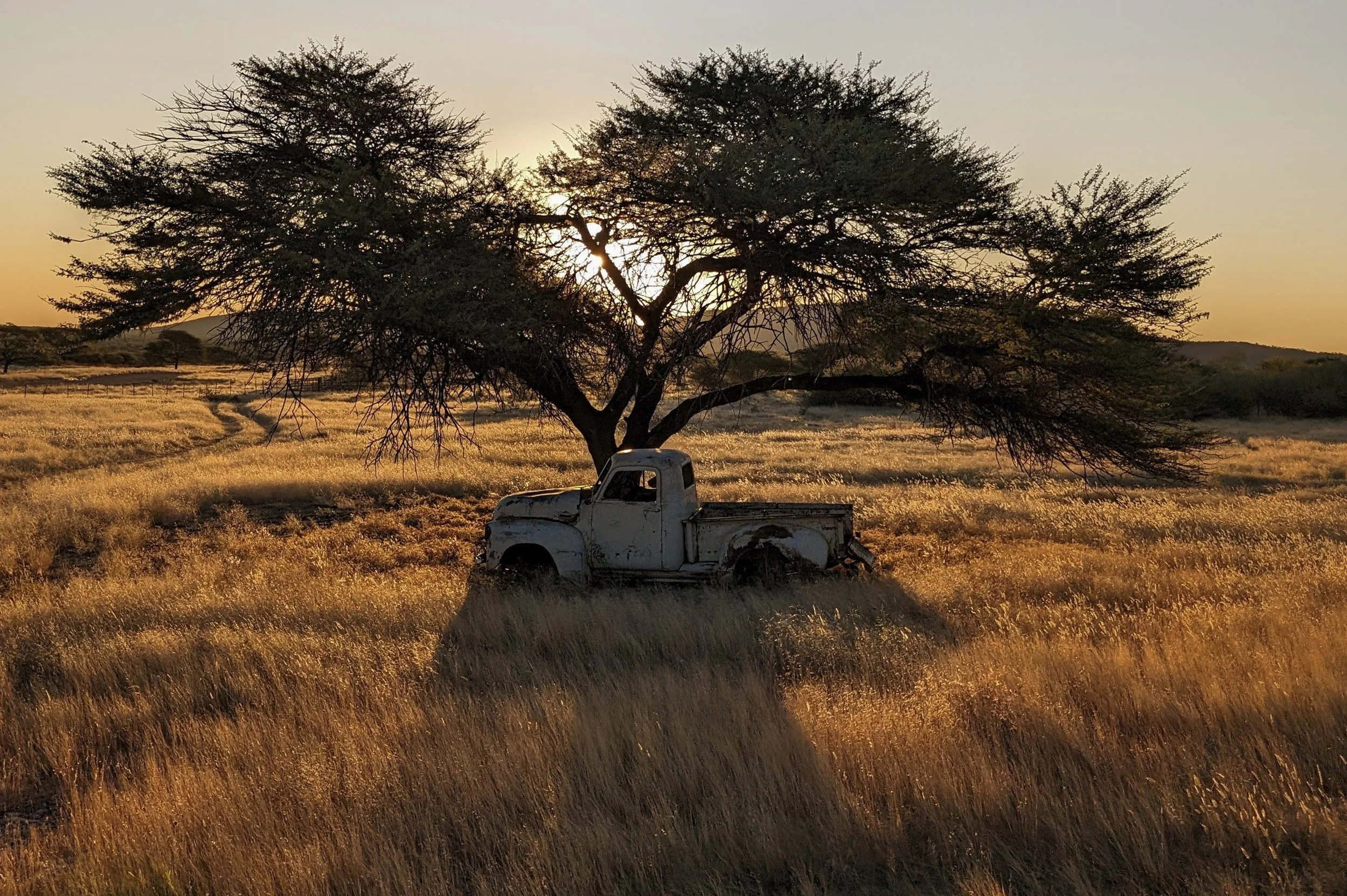 Project Namibia