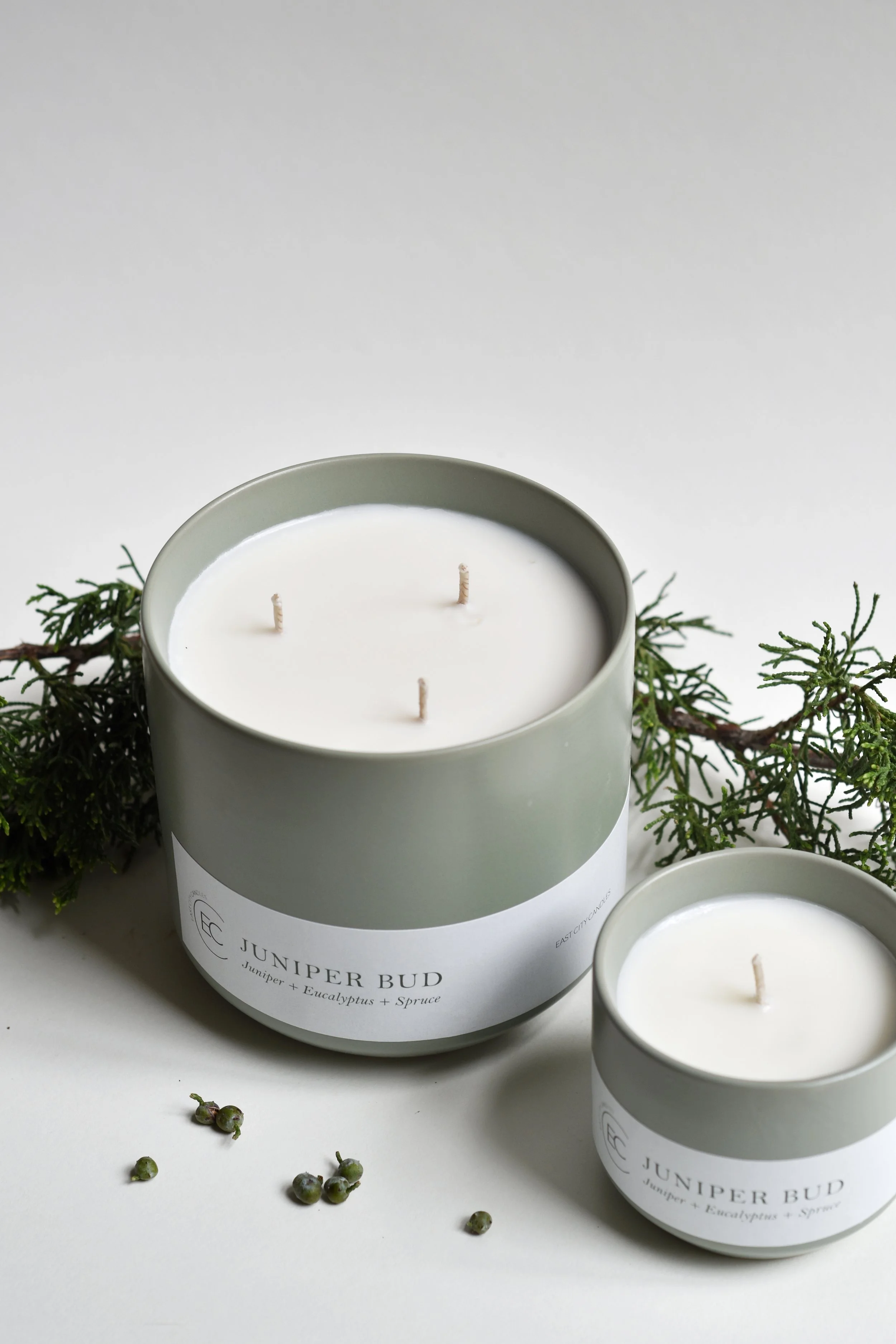 DSC_0617_2-01 (1).jpg