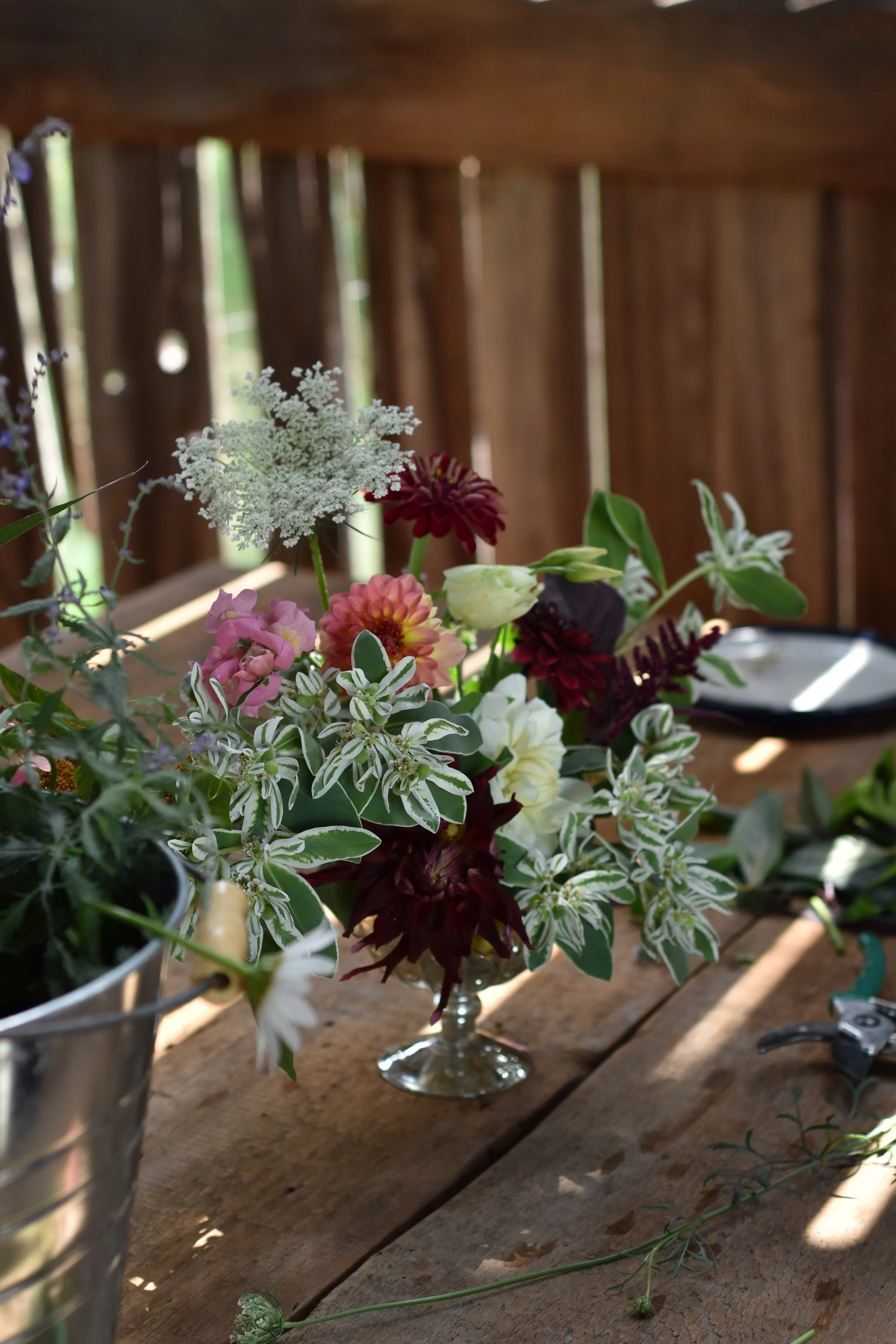 DSC_0472 1.jpg