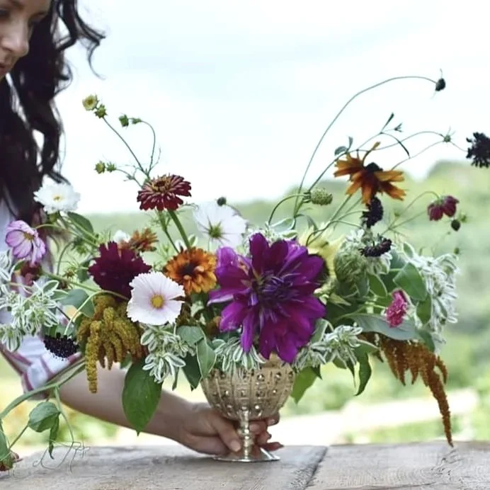 1000016150-01.jpg (Copy)