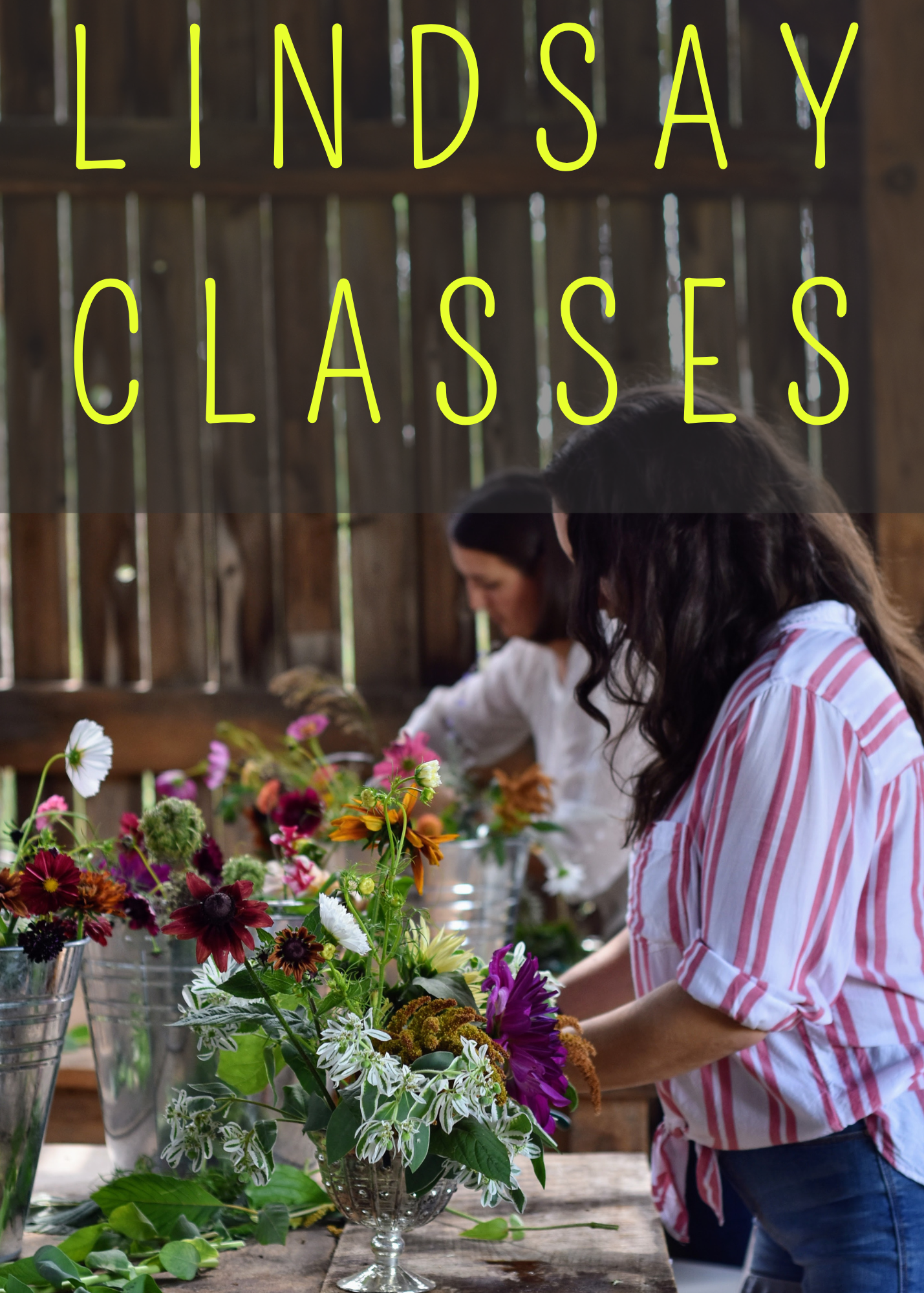 WHITBY CLASSES (2).png