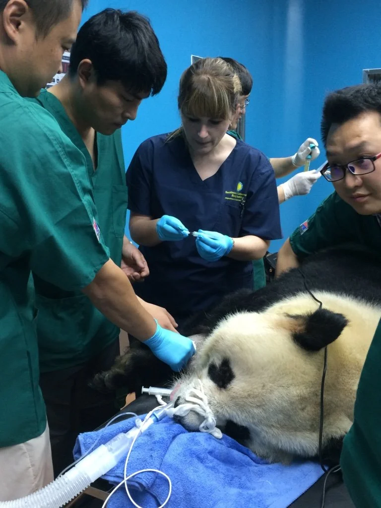 Zoological Practice Guidance