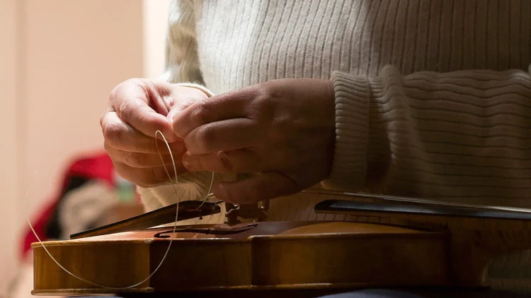 Gut strings on a Baroque violin – close view of warmth and resonance