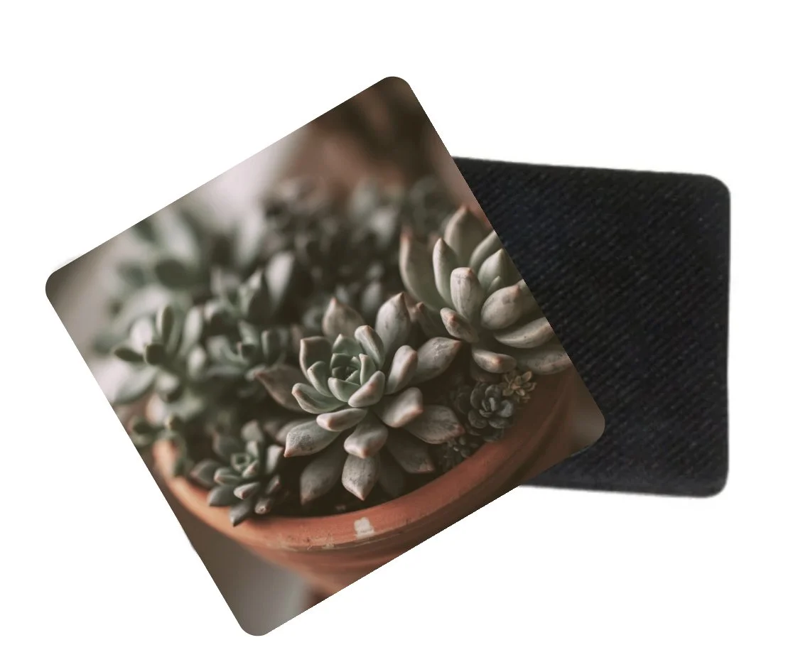Succulent Plant Coasters – Set of 4 | Botanical Drink Coasters