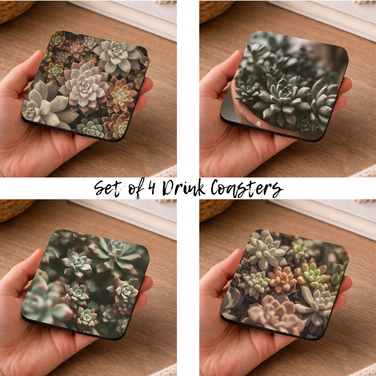 Succulent Plant Coasters – Set of 4 | Botanical Drink Coasters (Set of 4)
