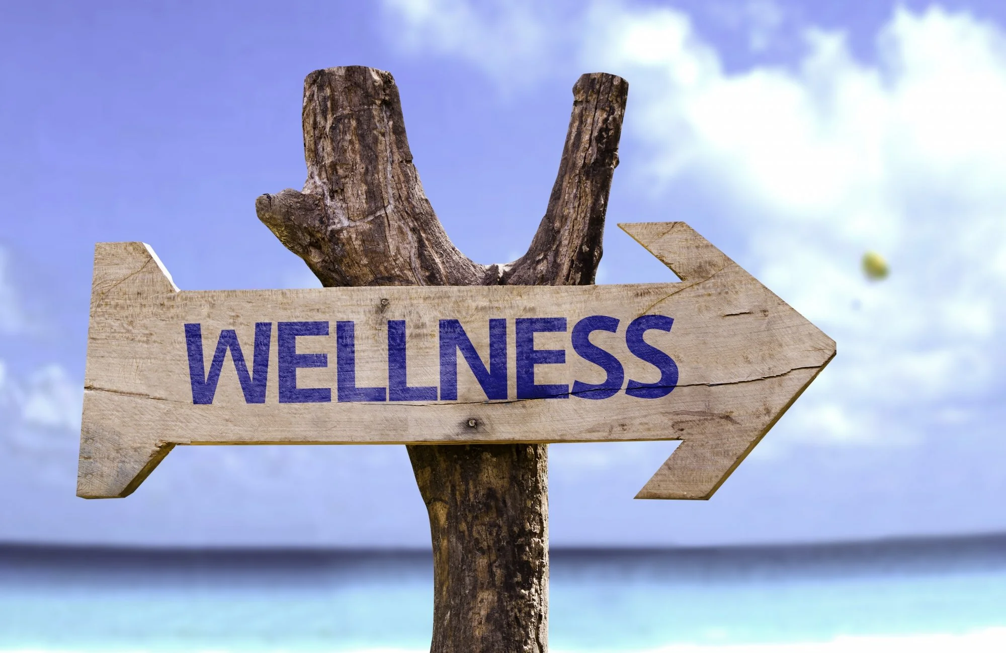 Vad är wellness &amp; hälsa?