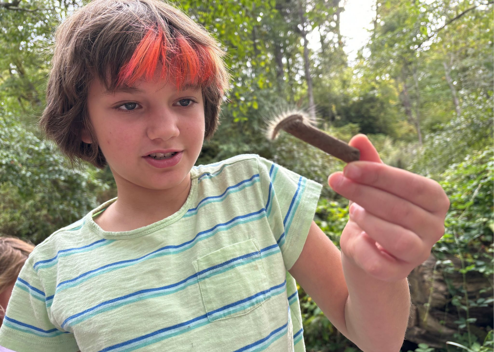 A young boy with brown hair and red highlights, wearing a green and white striped shirt, holding a small piece of wood or branch with a curved, lighter-colored end, outdoors in a wooded area.