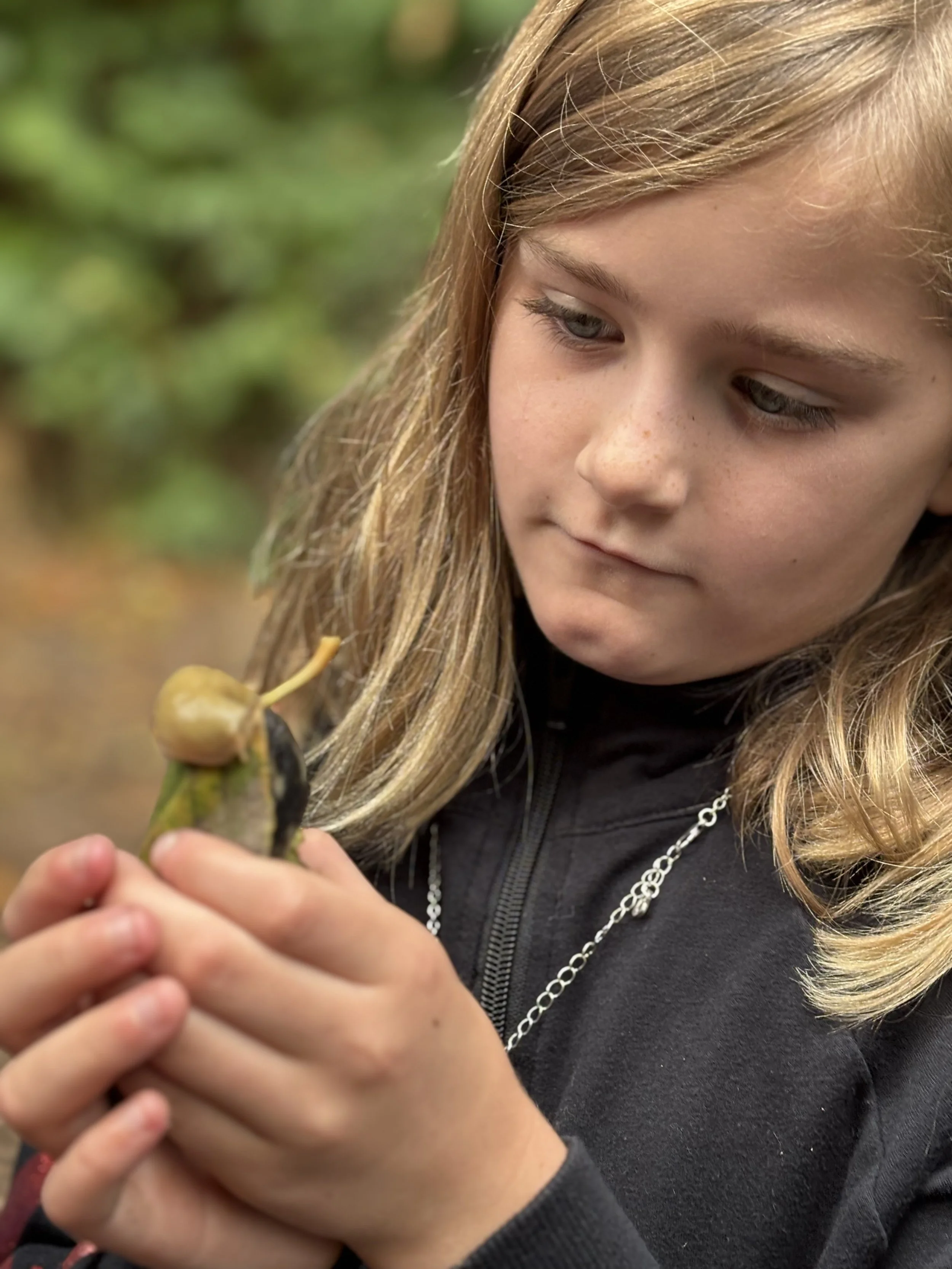 A young girl with blonde hair looking at a small bird she is holding gently in her hands outdoors.