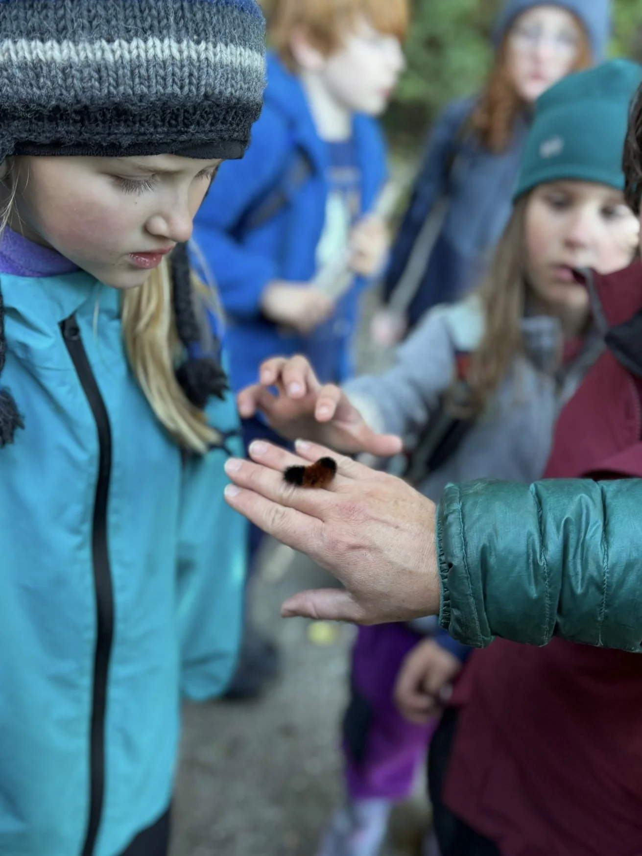 Children observing a person holding a small furry animal, possibly a bird or insect, during an outdoor educational activity.