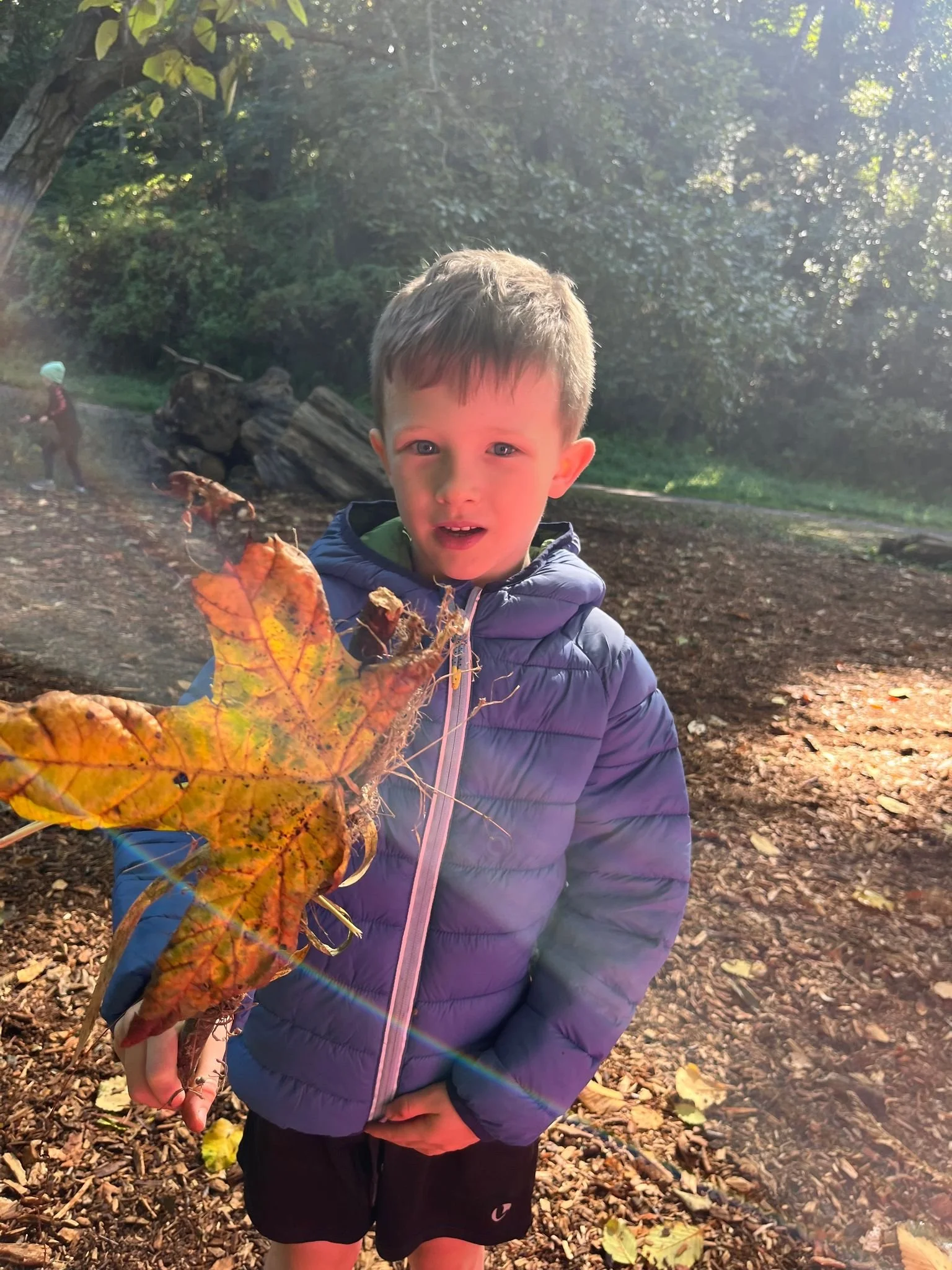 Discovering the wonder of a colorful fall leaf.