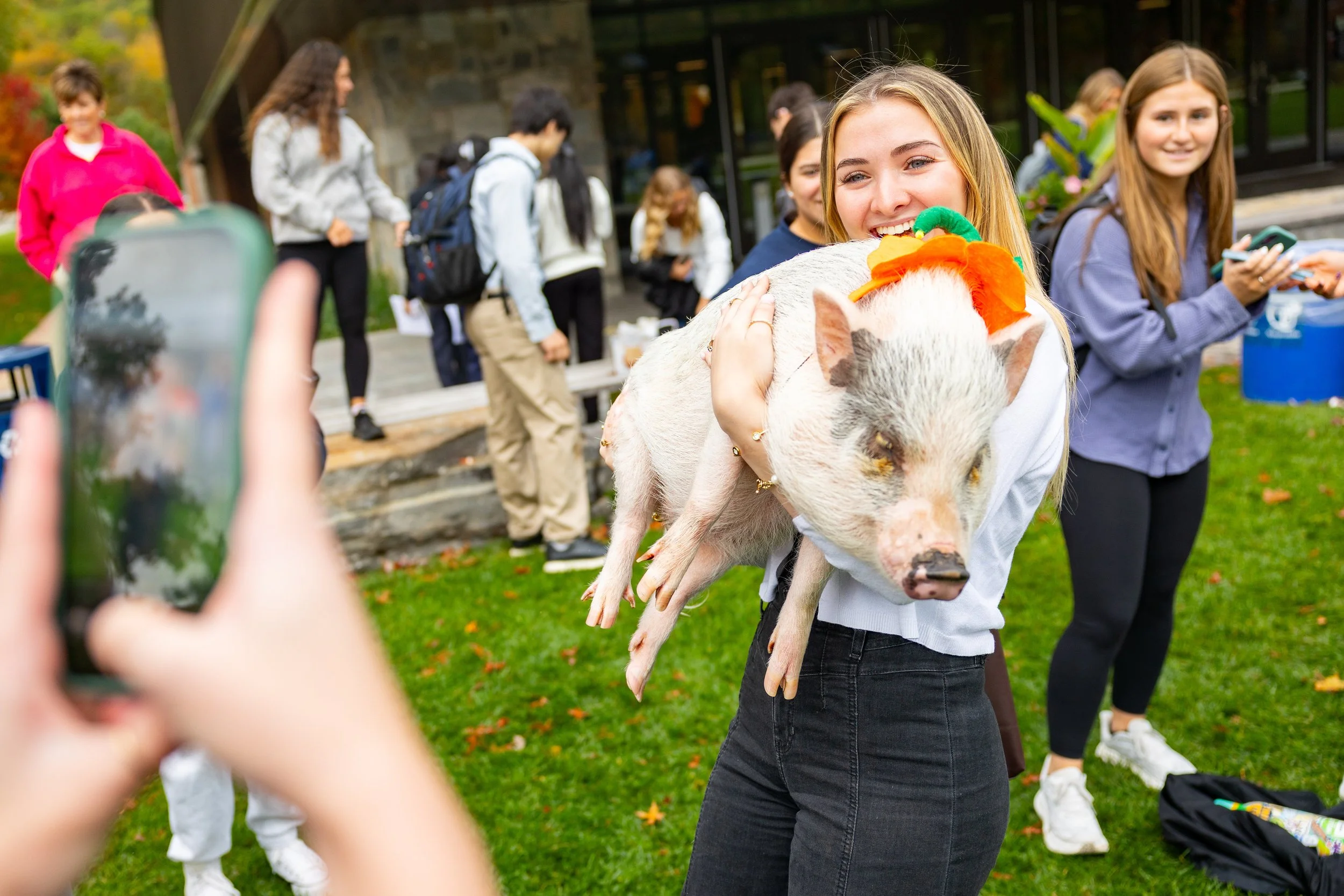 20251014-recwell-pigs-003-full.jpg