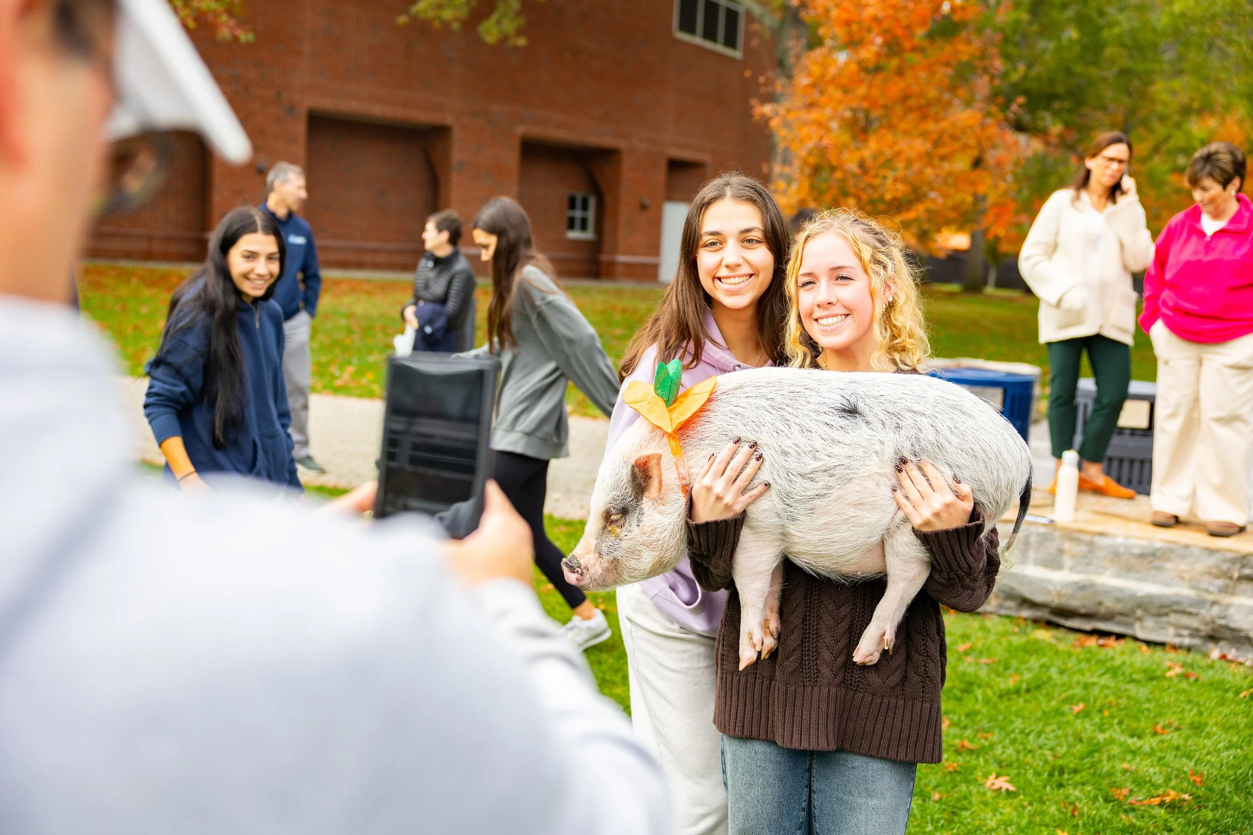20251014-recwell-pigs-006-full.jpg