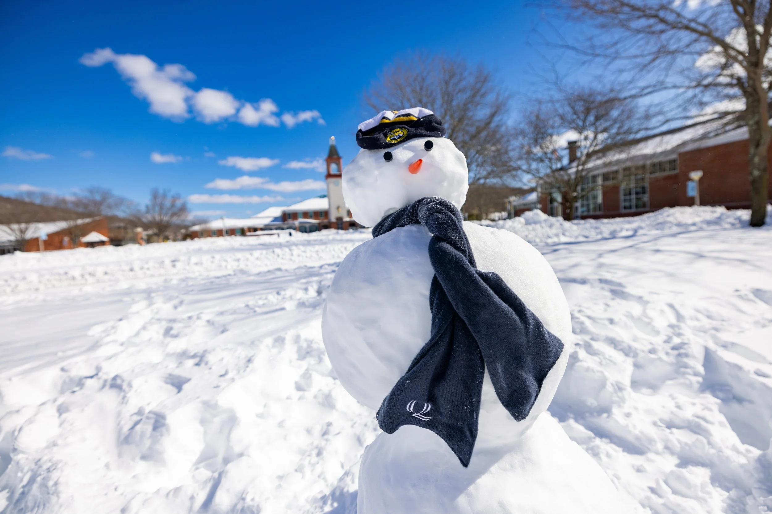 20260224-snowman-003-full.jpg