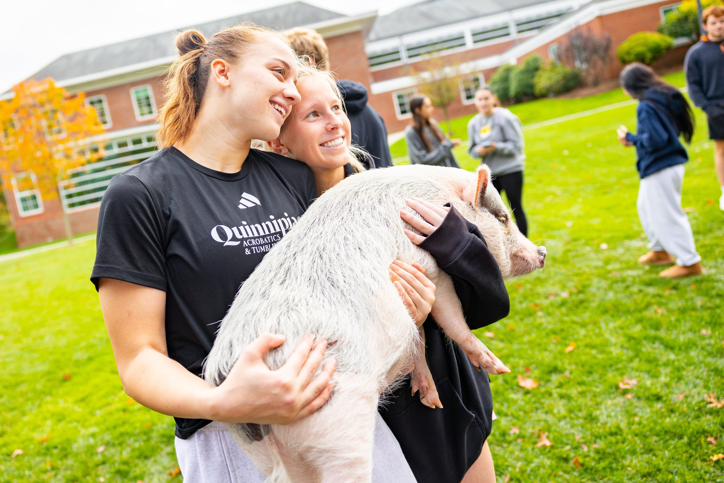 20251014-recwell-pigs-009-full.jpg