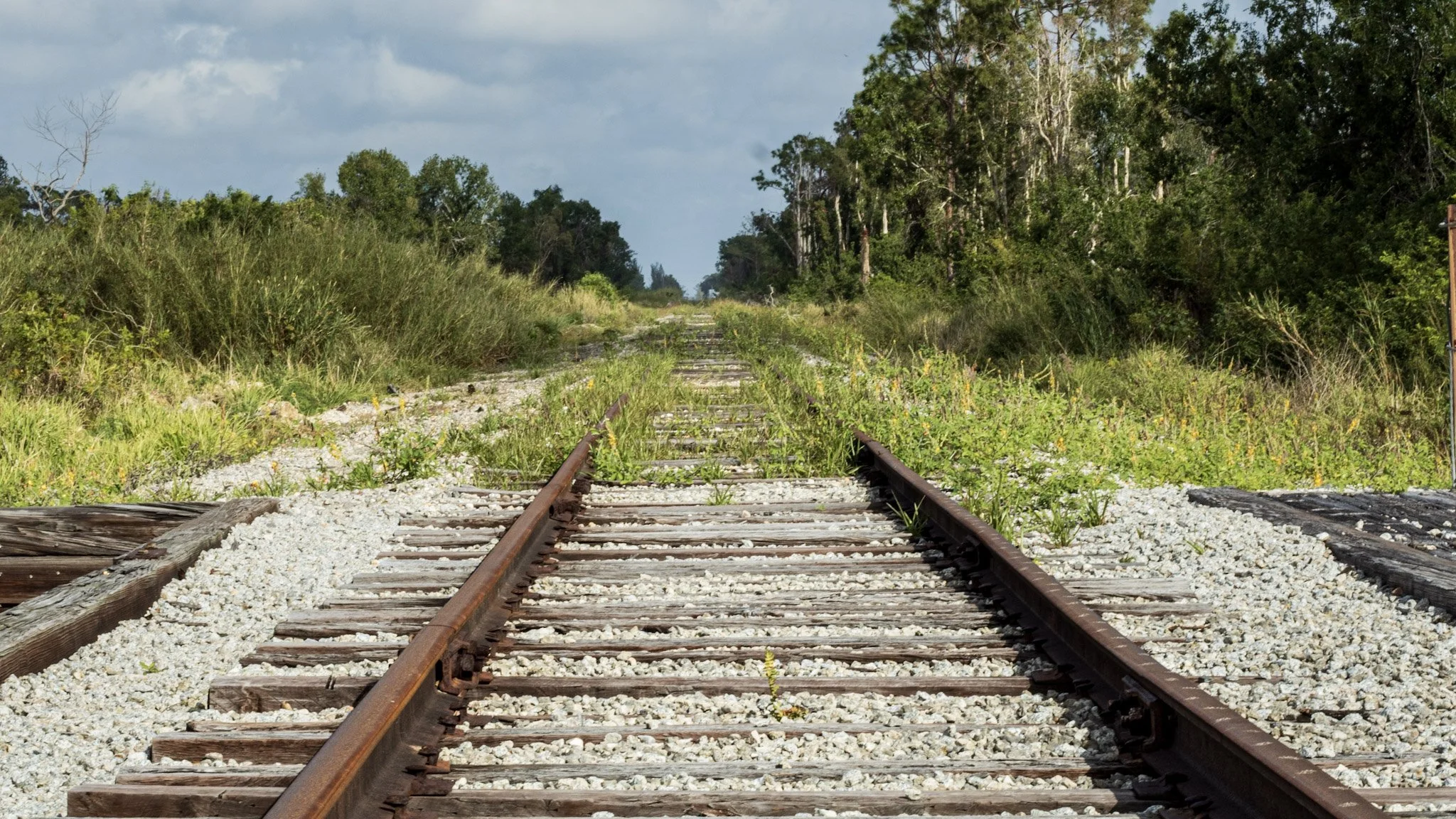 Overgrown abandoned railroad tracks running through a green, forested area under a cloudy sky.