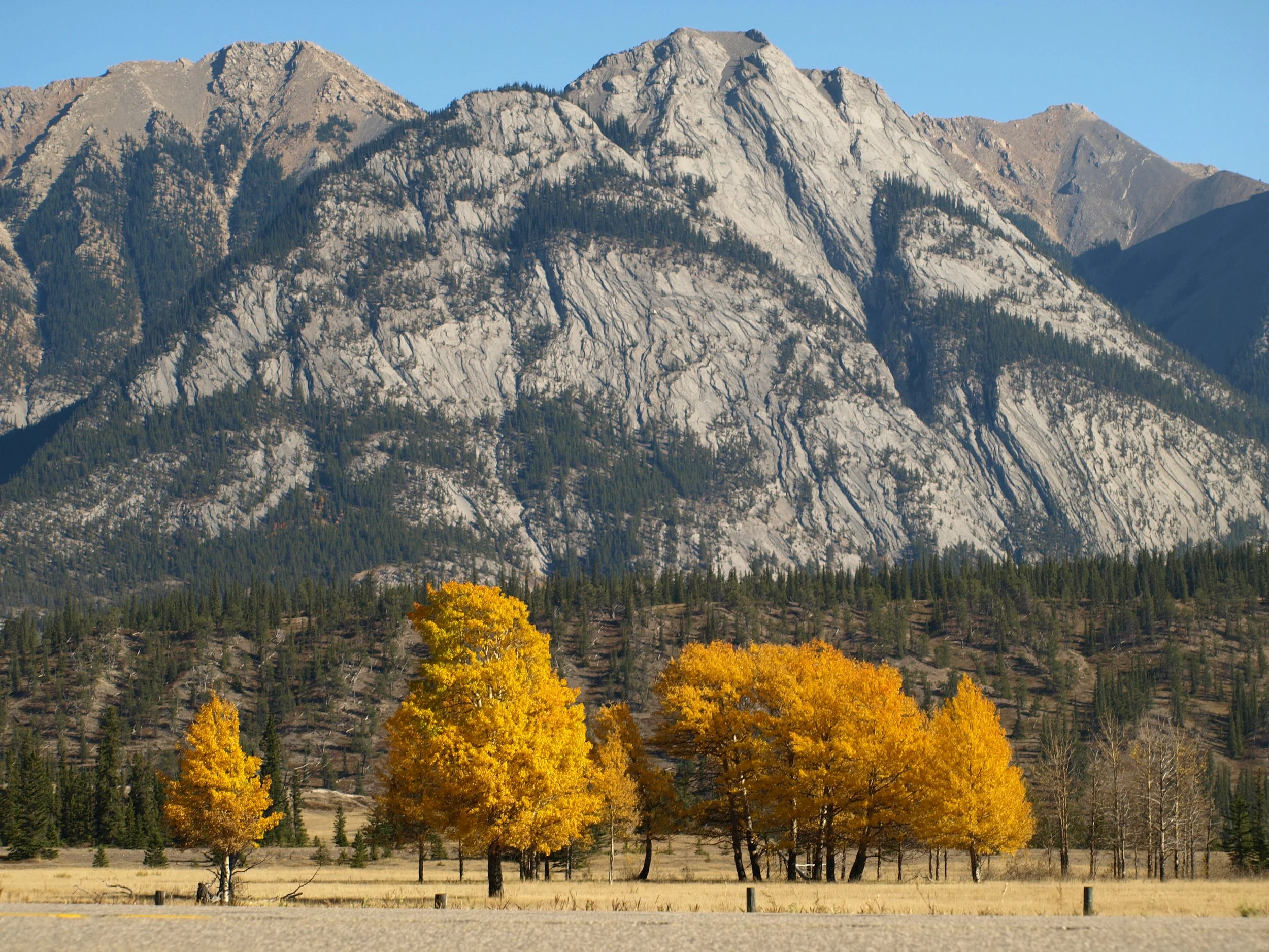 Mountain landscape with rocky peaks and a forested hillside, foreground features several yellow-orange autumn trees.
