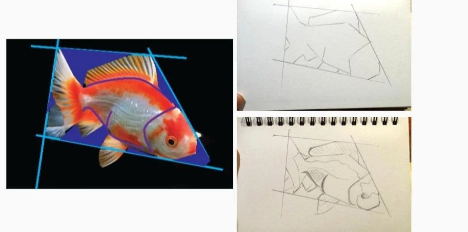 How to draw process seeing general to specific lines