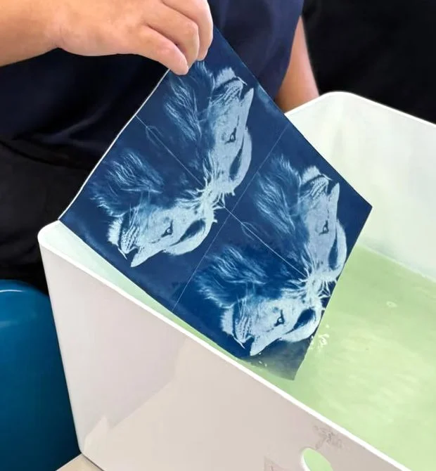 Image of lion through cyanotype process