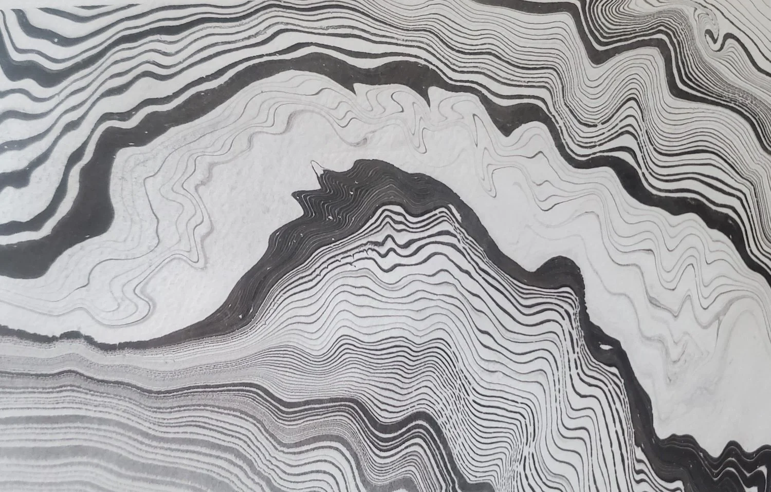 Black and white abstract portrait with flowing, wavy lines outlining a person's face and hair.