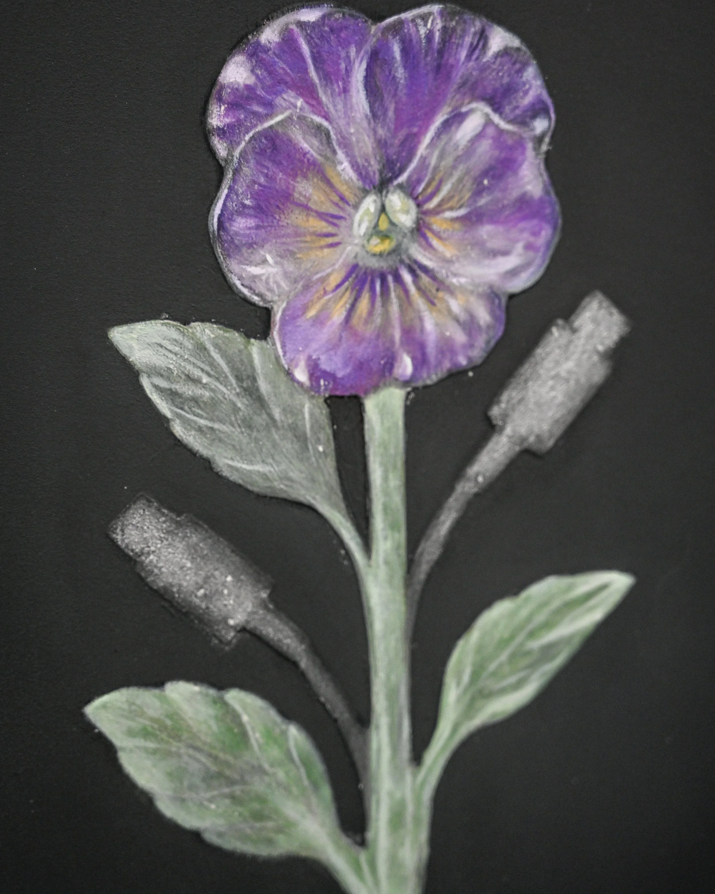 BLF_4115.jpg