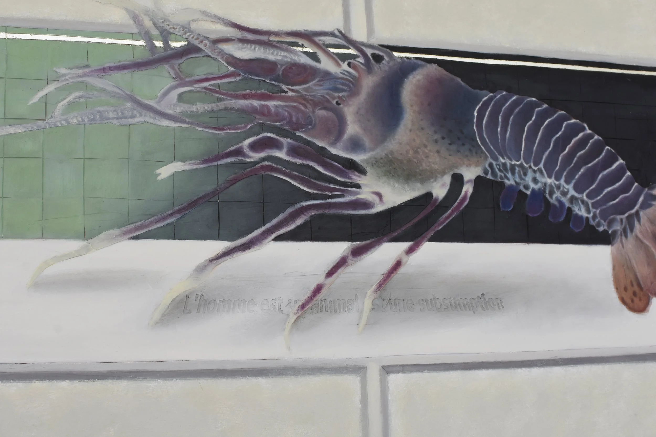 A detailed painting of a squid with outstretched arms and a curled tail, positioned on a tiled surface, with French text underneath describing the squid.
