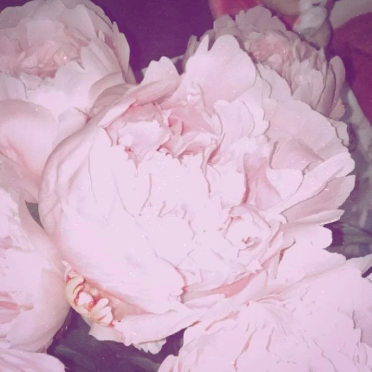 WhatsApp Image 2025-11-03 at 13.56.20.jpeg