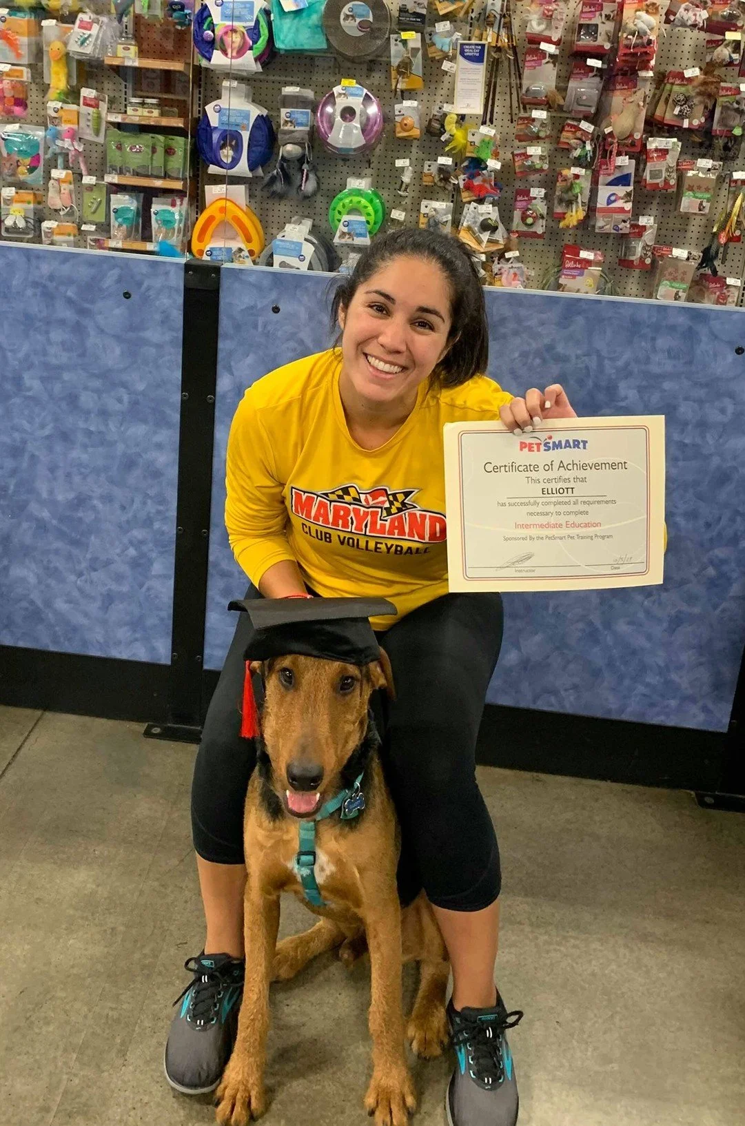 A woman in a yellow Maryland volleyball shirt is kneeling beside a dog wearing a graduation cap, holding a certificate of achievement. They are in a pet store with shelves of pet supplies in the background.