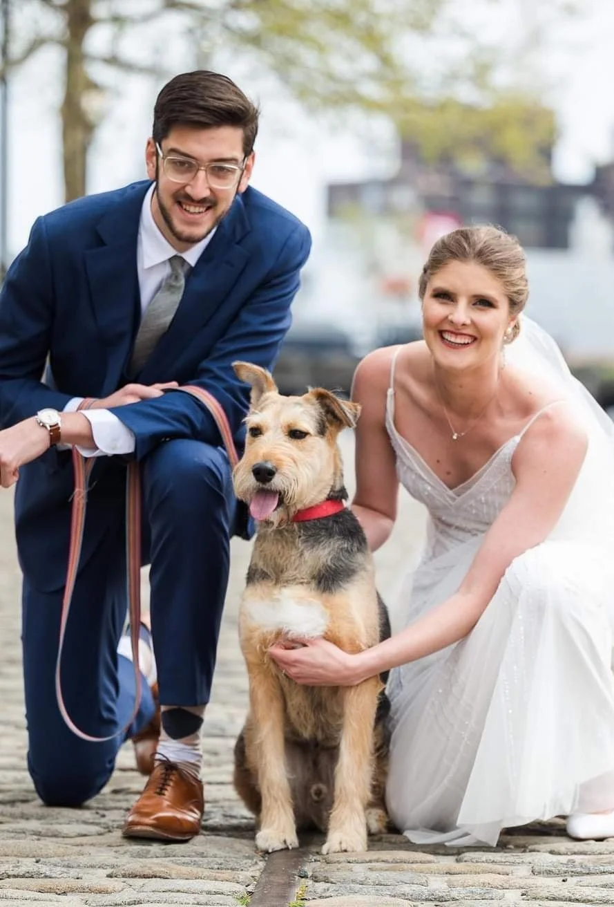 A newlywed couple, a man in a blue suit and a woman in a wedding dress, kneeling outdoors with a dog on a cobblestone street. The man is smiling and the woman is petting the dog, which has its tongue out.