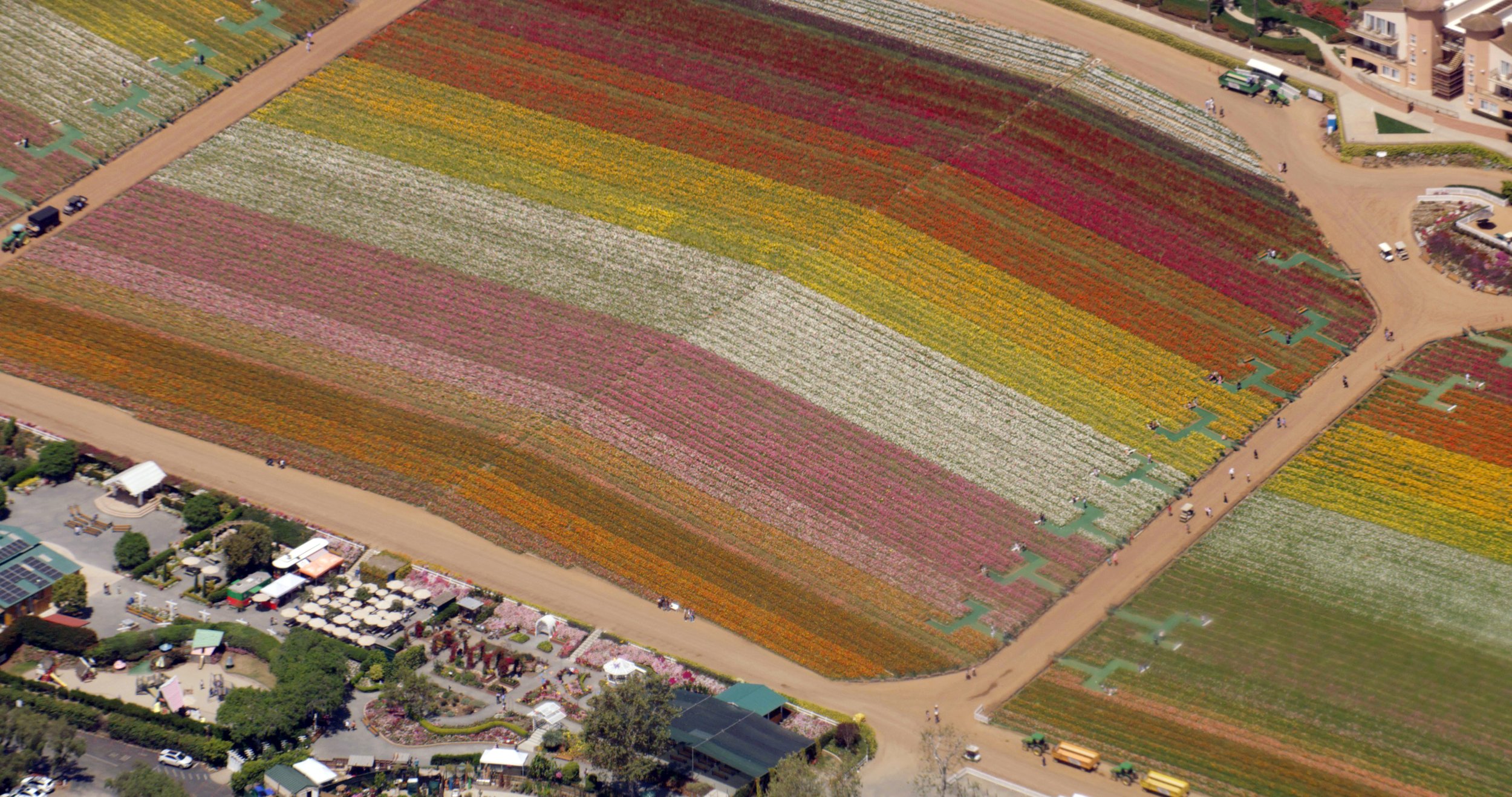 OSide Floral Fields.jpg