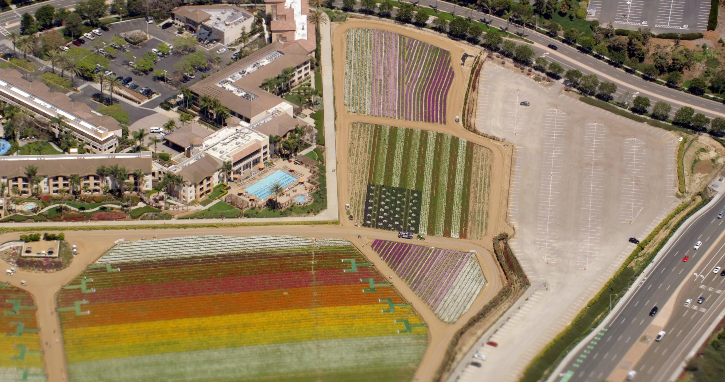 OSide Floral Fields 2.jpg