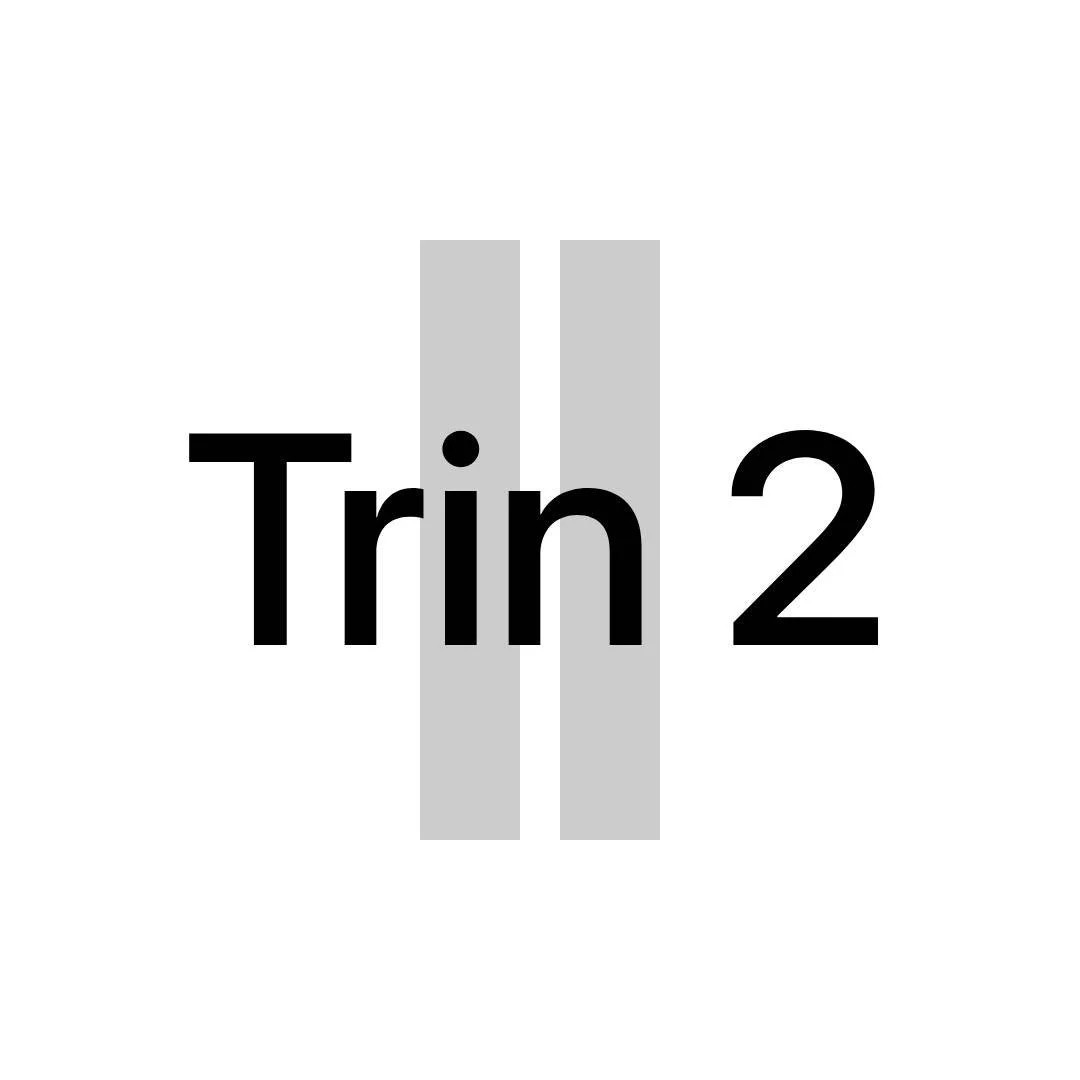 Tekst der siger 'Trin 2' med to parallelle grå streger i baggrunden.