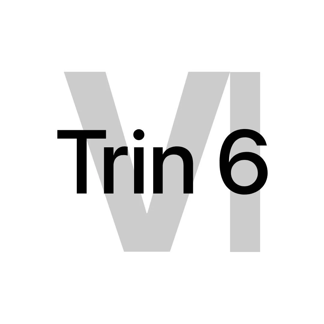 Grafik med teksten 'Trin 6' over en stor V, som er delvist transparent.