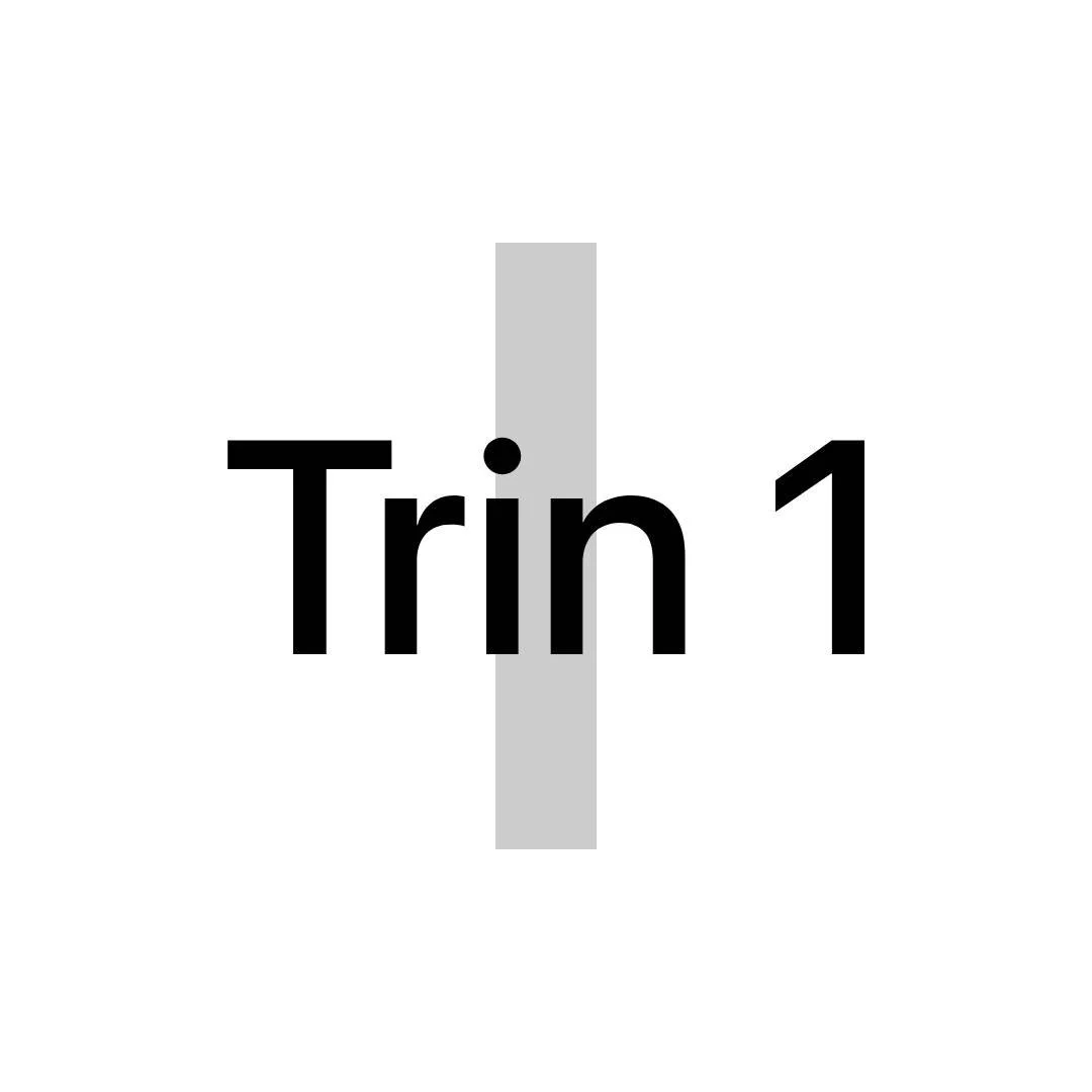 Tekst der siger 'Trin 1' med en grå streg bagved.