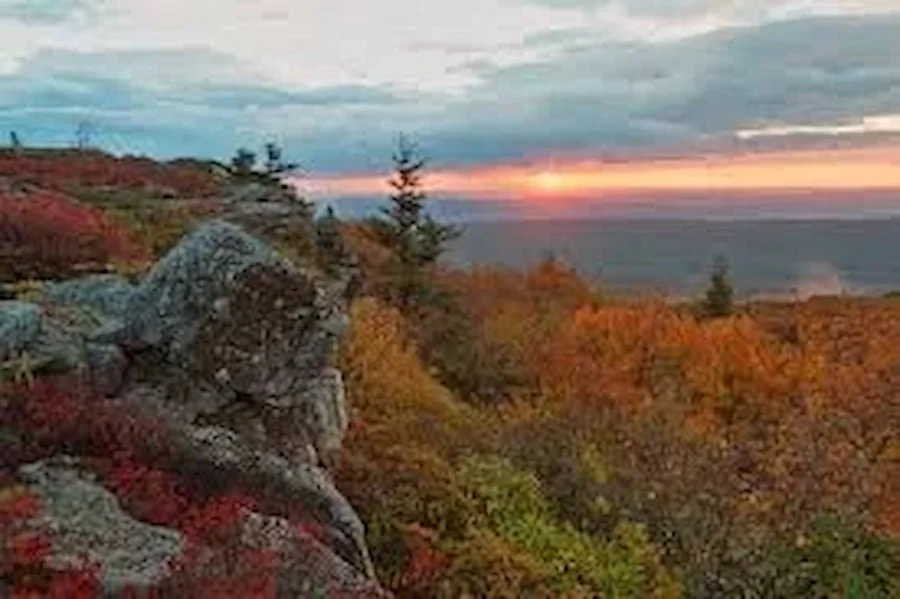 A scenic mountain overlook at sunset with colorful autumn trees, rocks in the foreground, and a view of the horizon with sky and clouds.