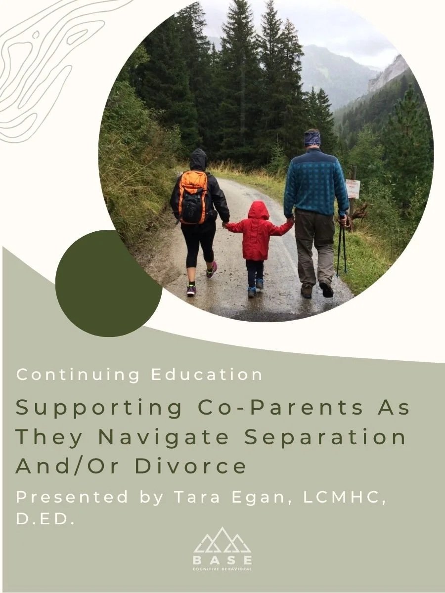 Copy+of+Supporting+Co-Parents+As+They+Navigate+Separation+AndOr+Divorce+%284+x+3+in%29.jpg