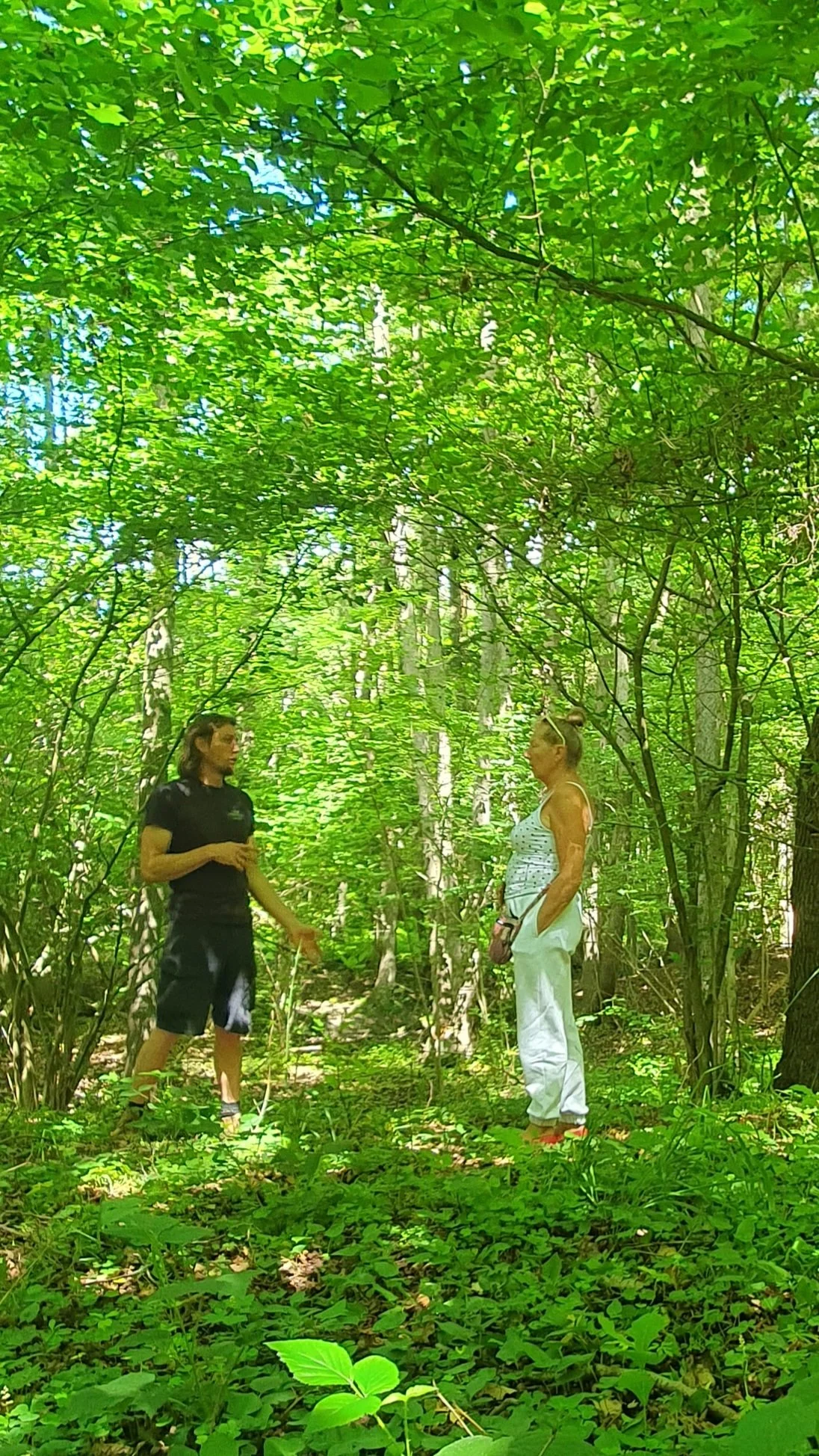 Trees
