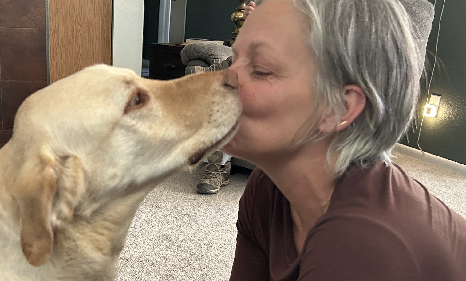 overnight housesitter.png