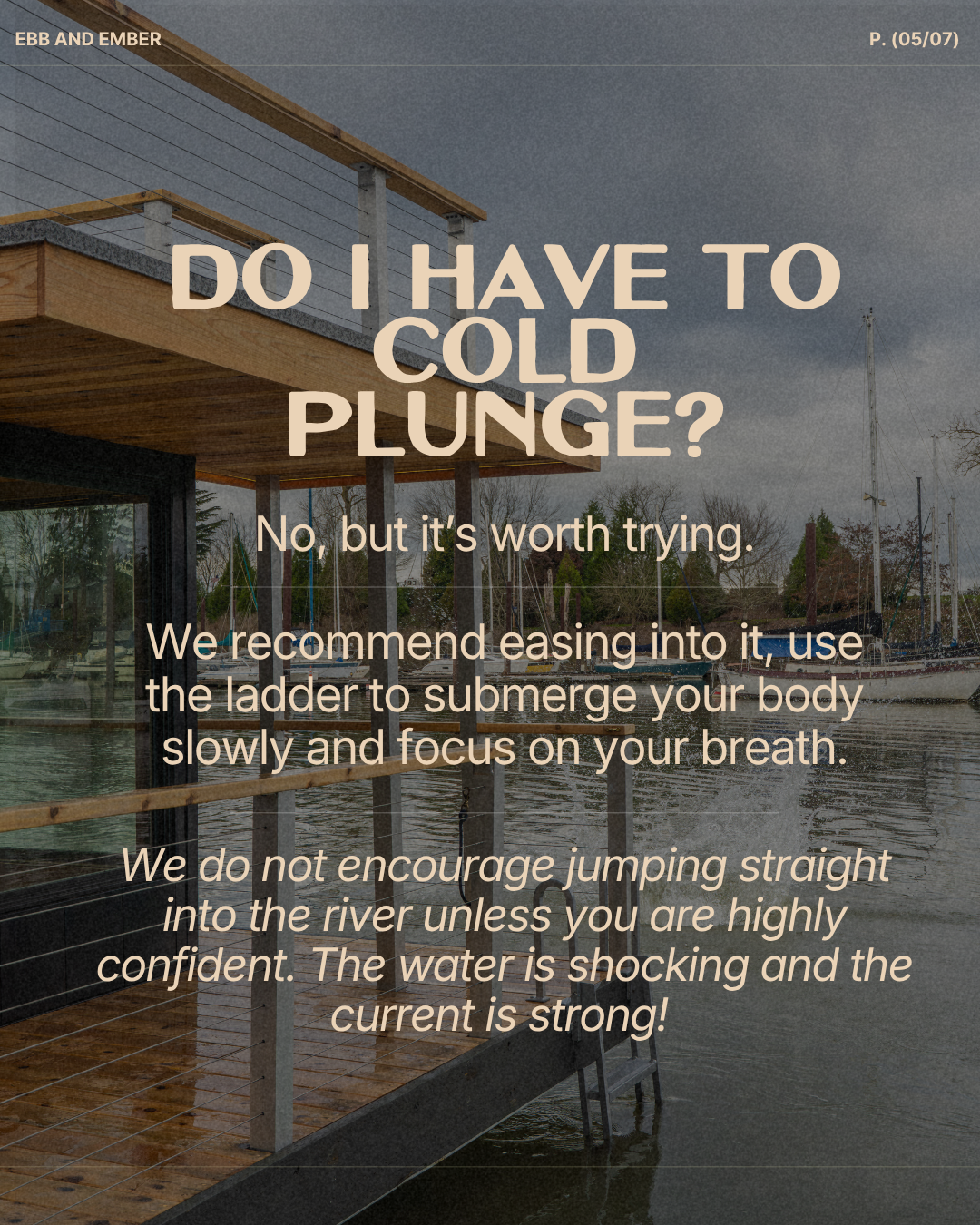 ebb Carousel (4).png