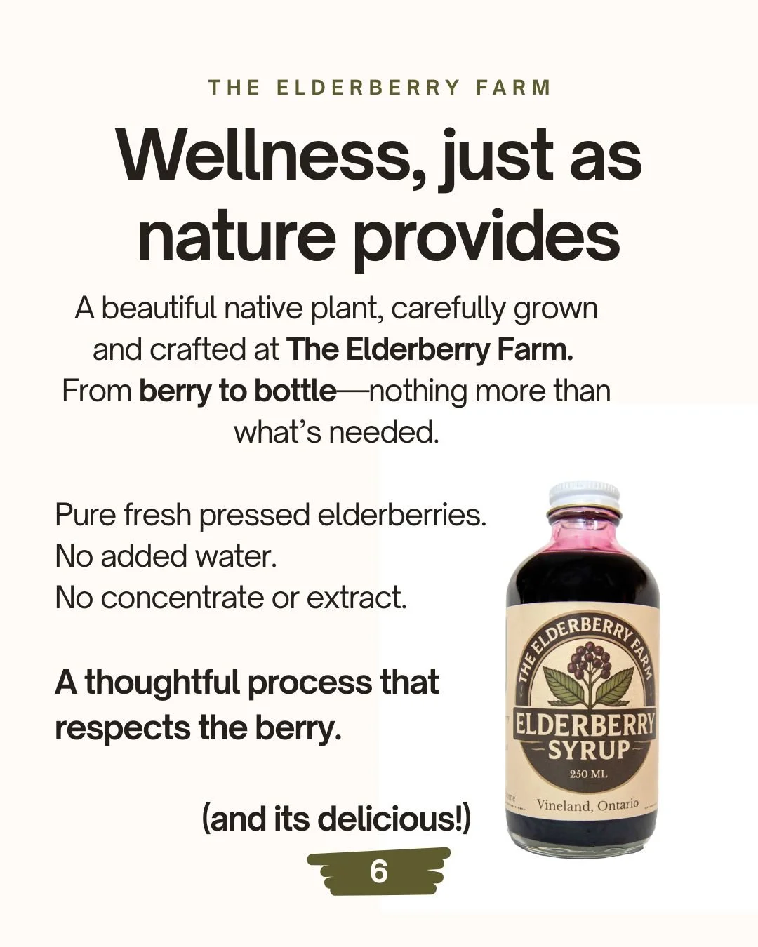 Text advertisement for Elderberry Farm promoting elderberry syrup, with the phrase "From berry to bottle, it’s elderberry syrup just as nature provides. Taste the difference." and a small icon with the number 6 at the bottom.