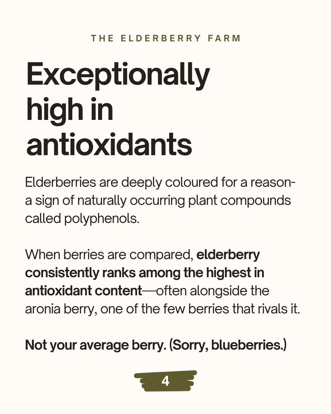 Information sign about American elderberries, highlighting their non-toxicity, ease of processing, and differences from European elderberries, from Elderberry Farm.