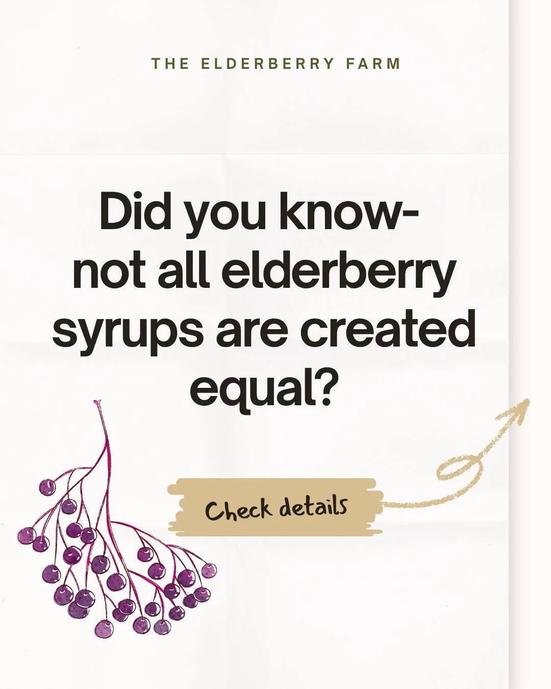 A promotional sign for The Elderberry Farm displaying a message about elderberry syrups. The sign has a simple design with a cluster of elderberries at the bottom left, a beige arrow pointing to a "Check details" button, and a minimalistic background.