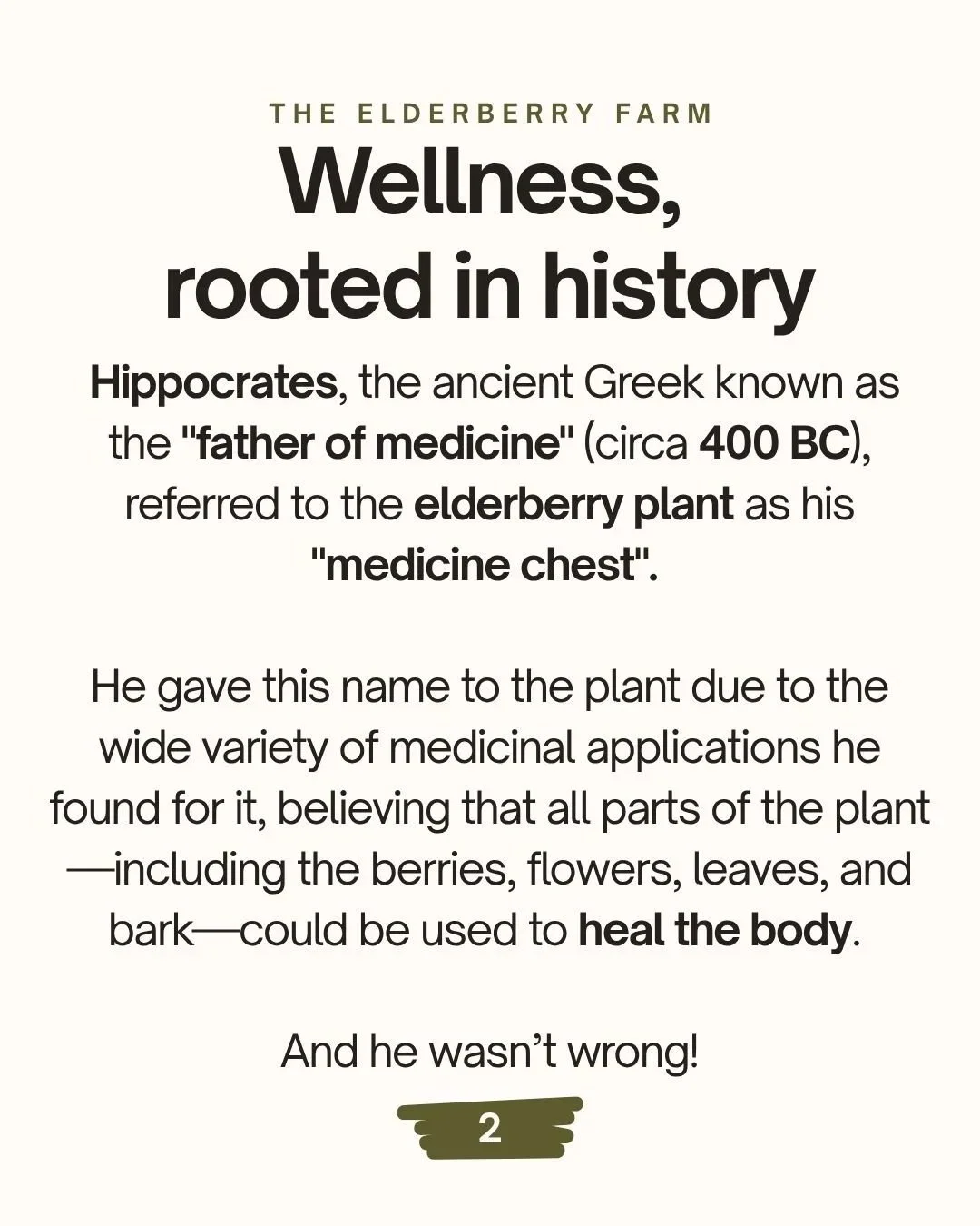 Information about elderberry syrup explained on a page, titled 'Why This Matters,' discussing the process of making elderberry syrup and how heat affects the berry's color, flavor, and nutritional value.