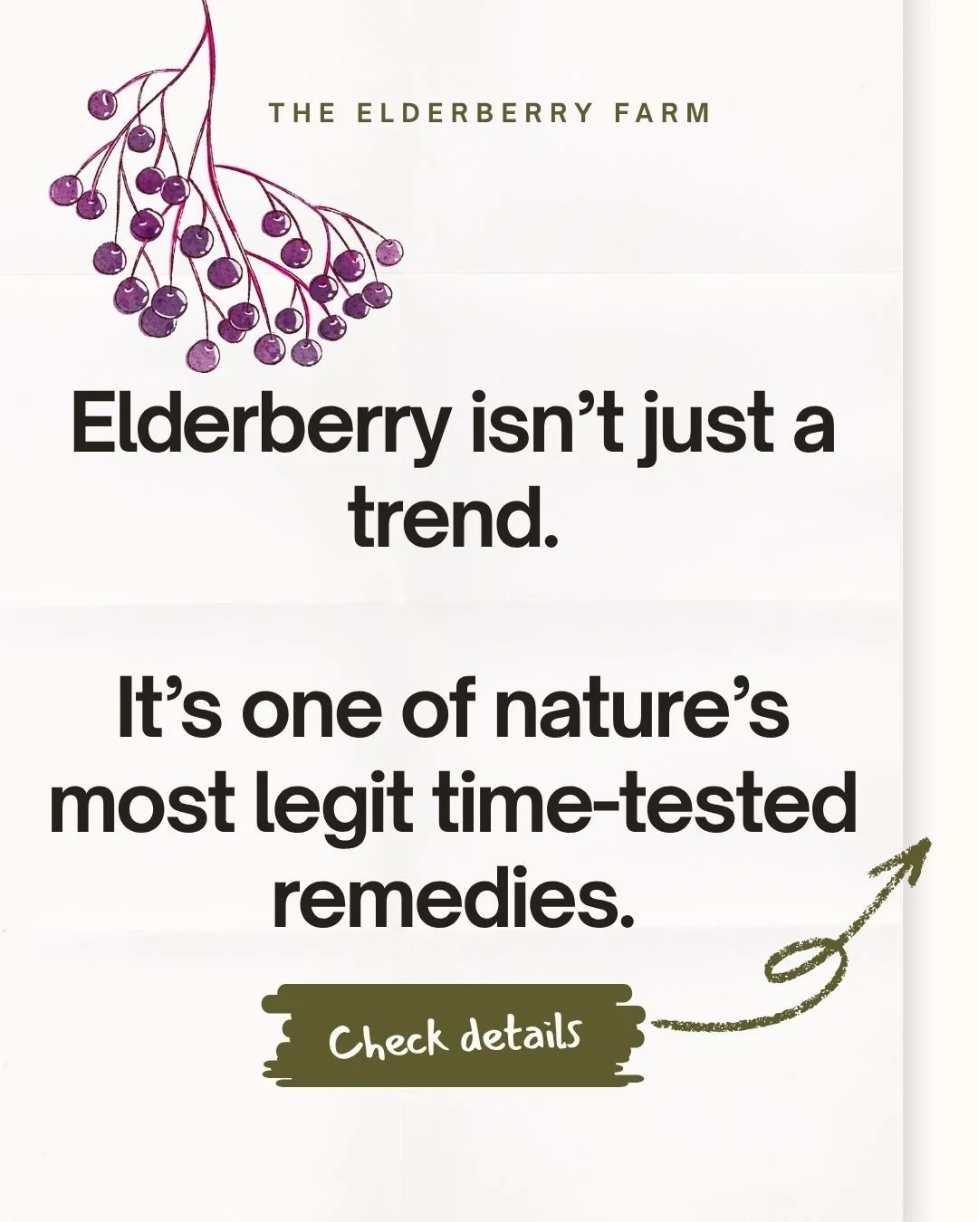 A promotional sign for The Elderberry Farm displaying a message about elderberry syrups. The sign has a simple design with a cluster of elderberries at the bottom left, a beige arrow pointing to a "Check details" button, and a minimalistic background.