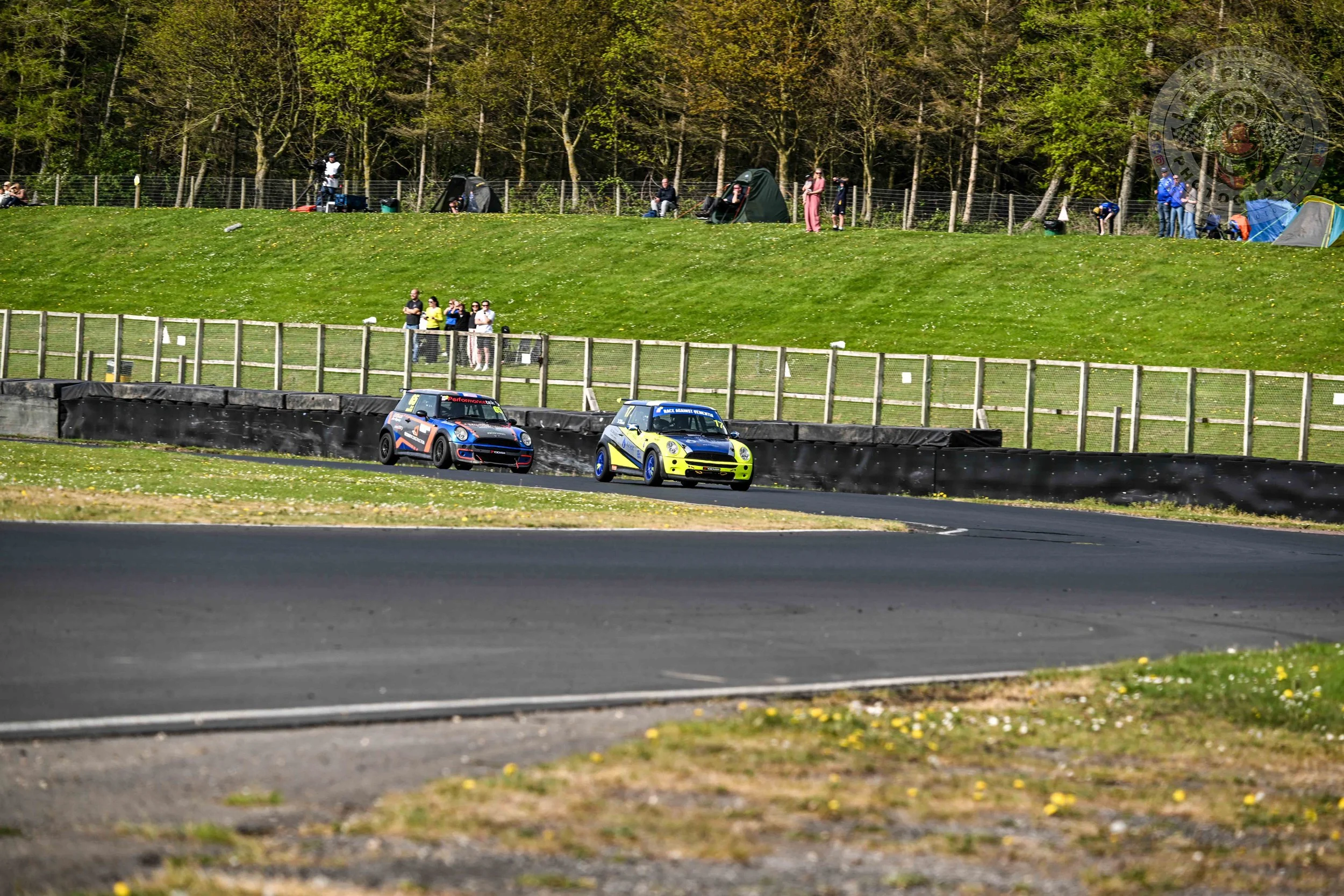 DSC_7037.jpg