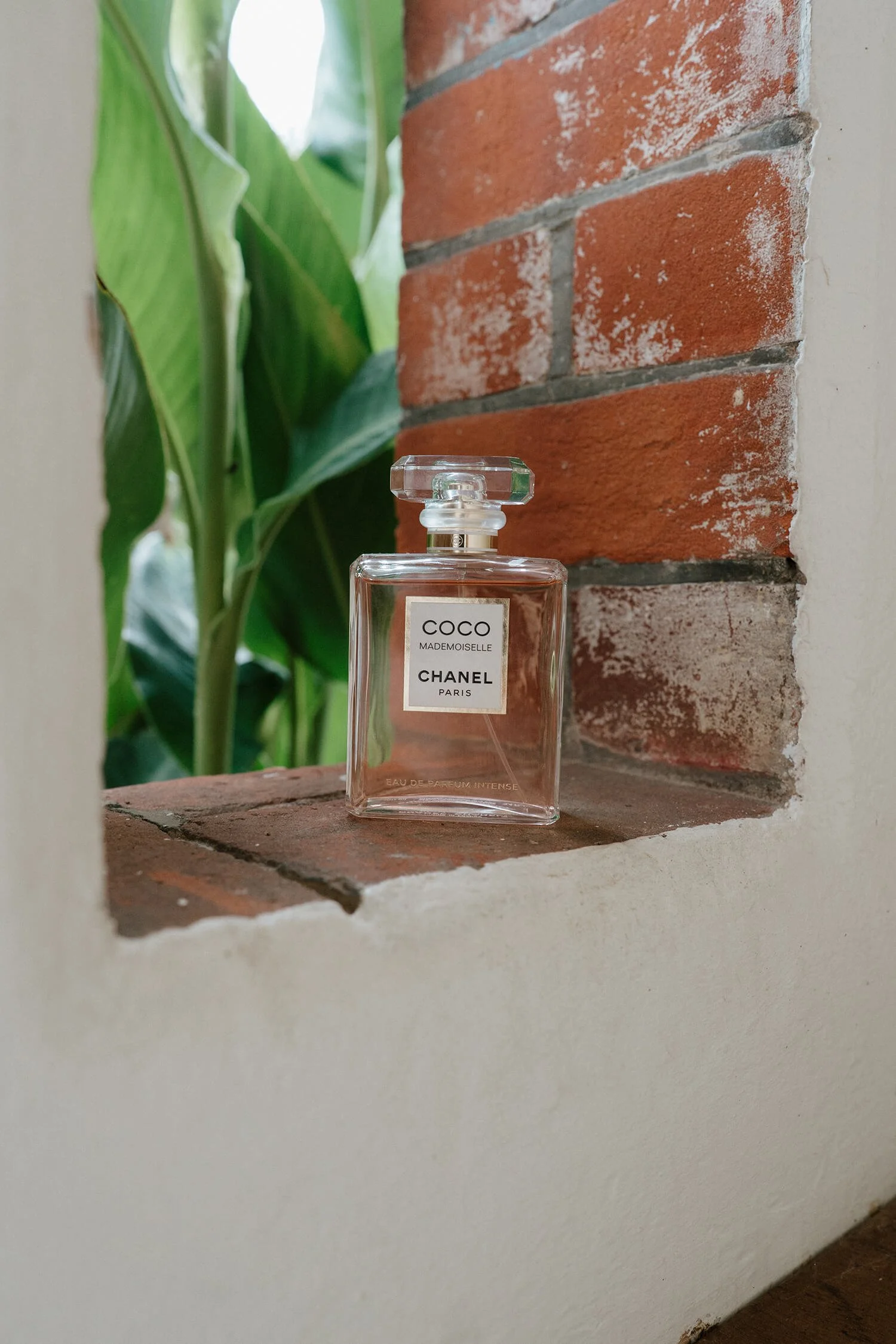A bottle of Chanel Coco Mademoiselle perfume placed on a brick ledge with a green leafy plant in the background.